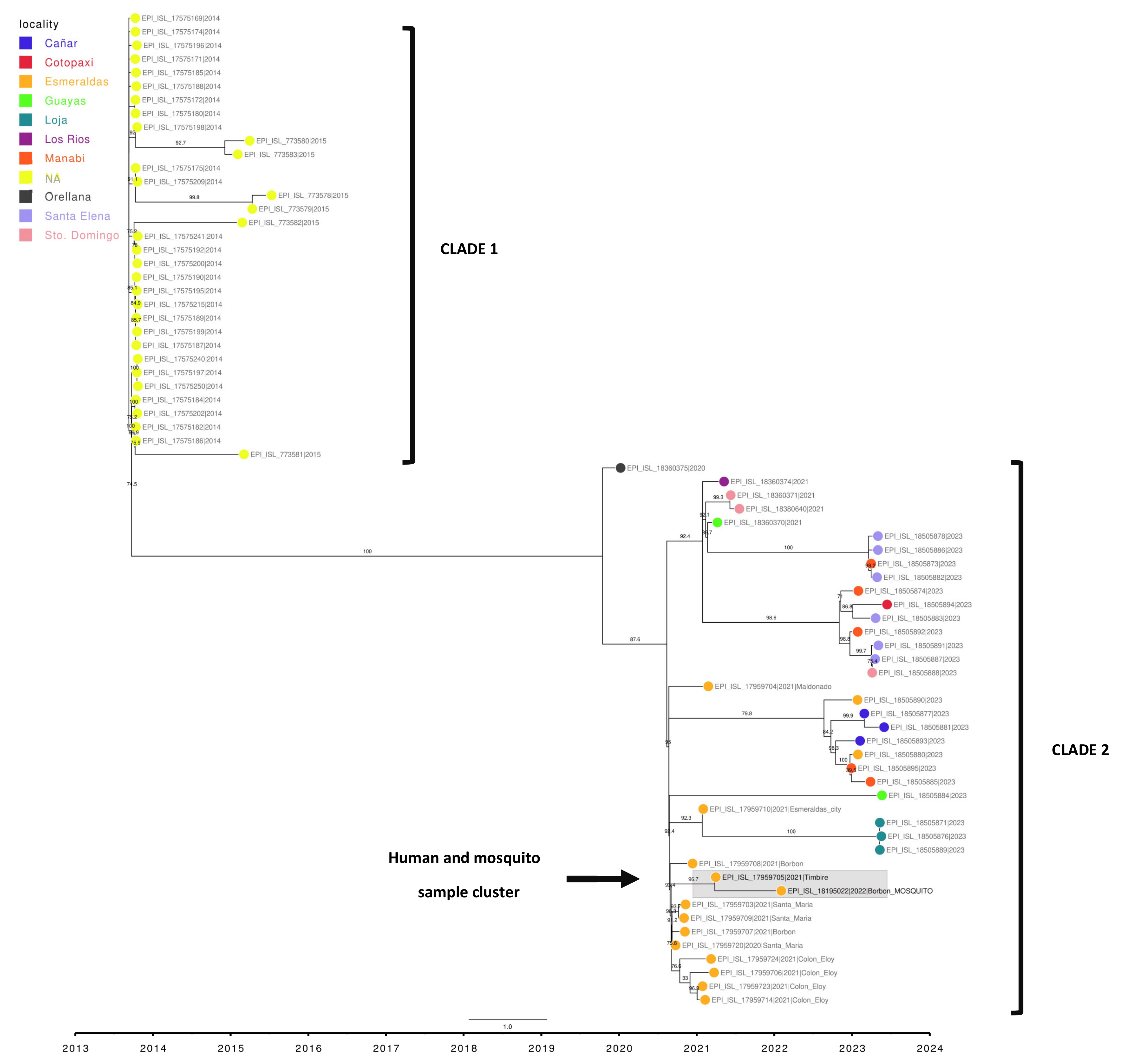Pathogens 14 00541 g003