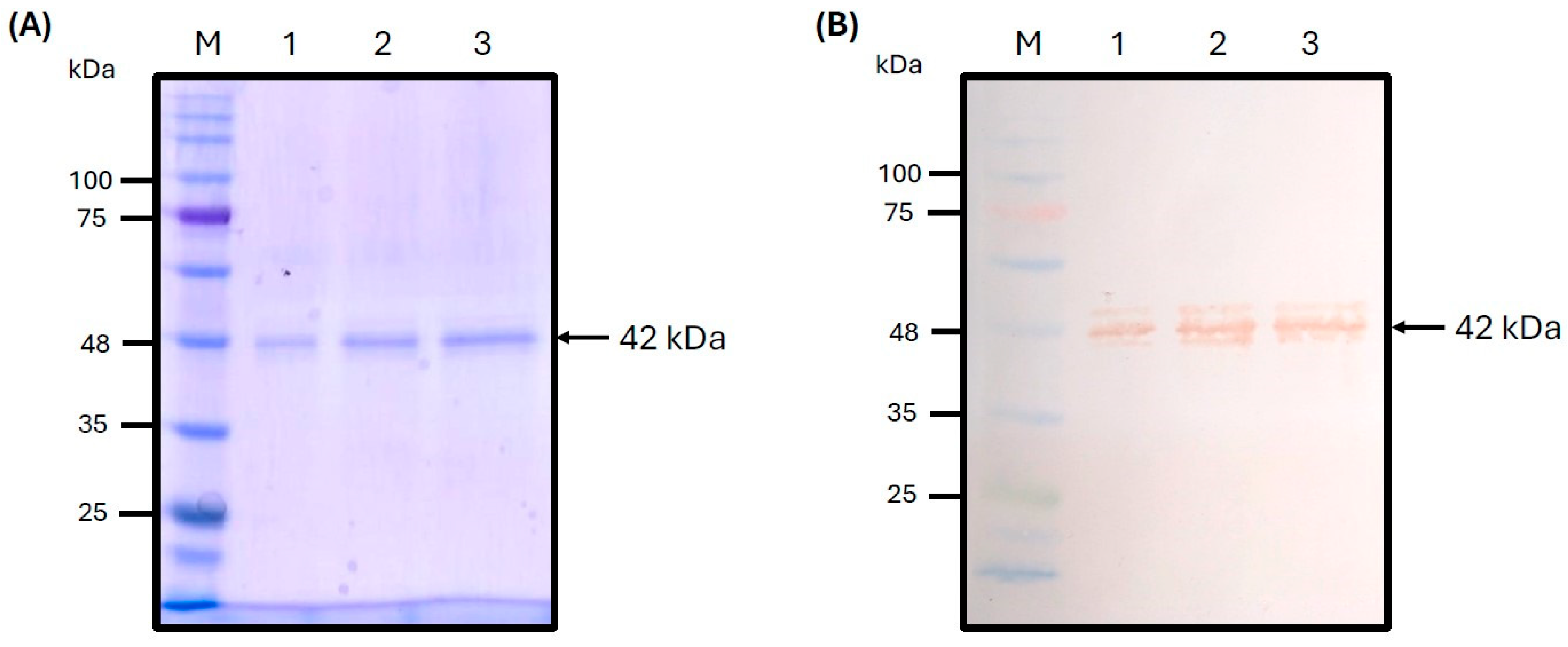 Pathogens 14 00542 g006
