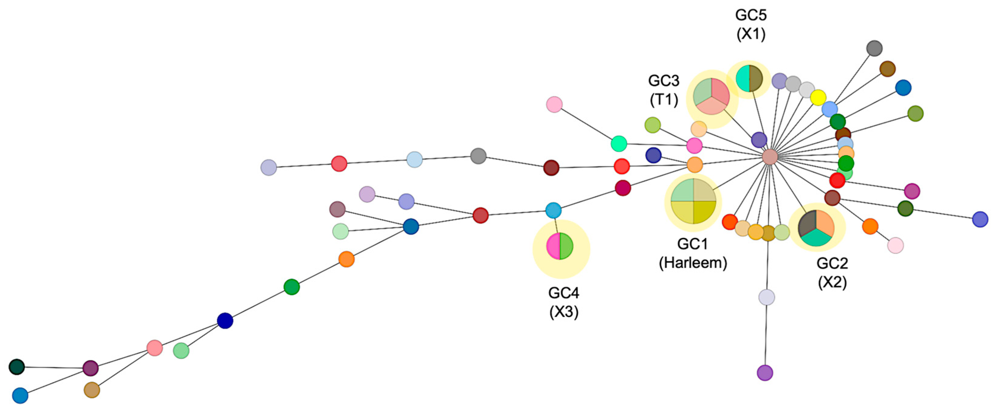 Pathogens 14 00548 g003