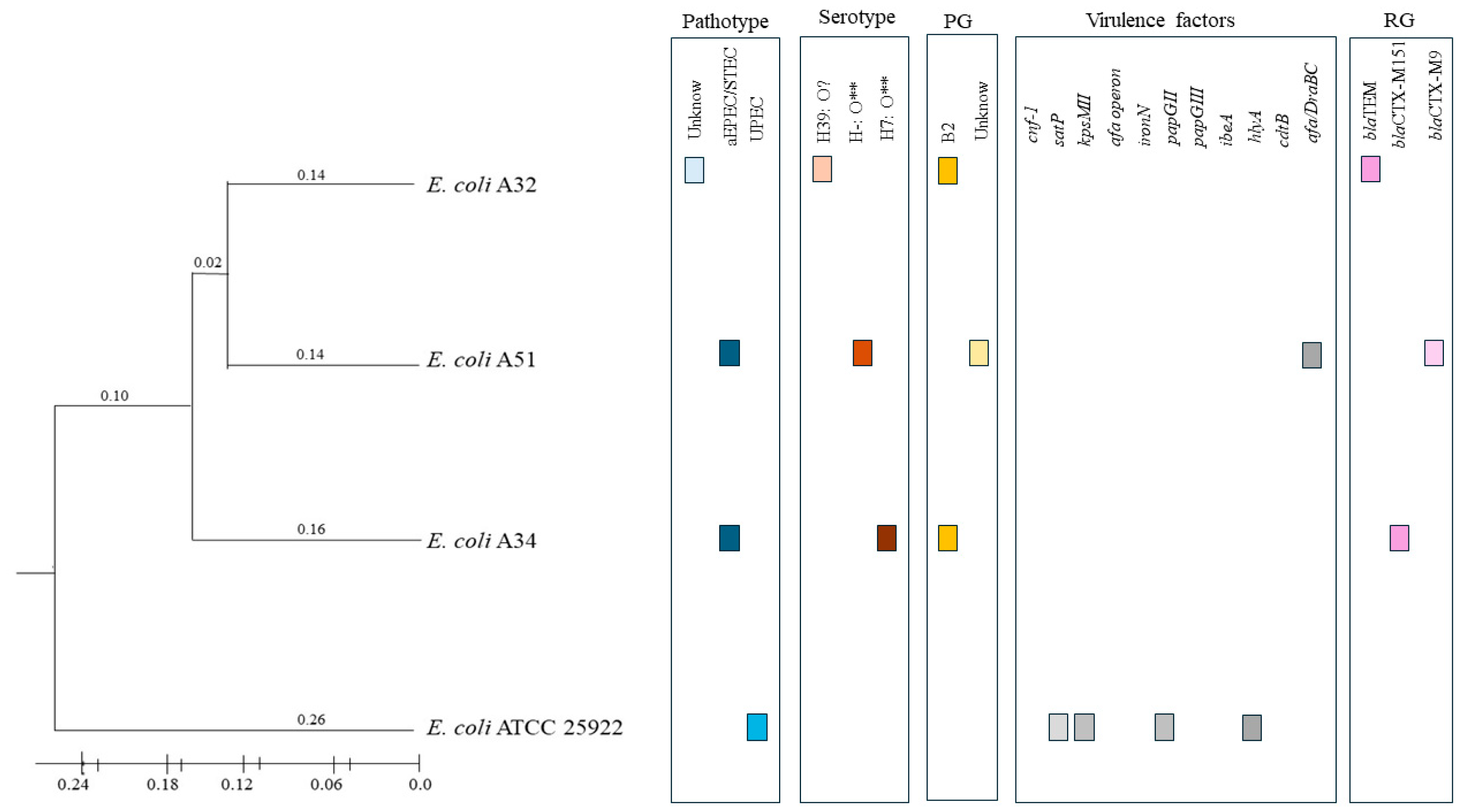 Pathogens 14 00549 g002
