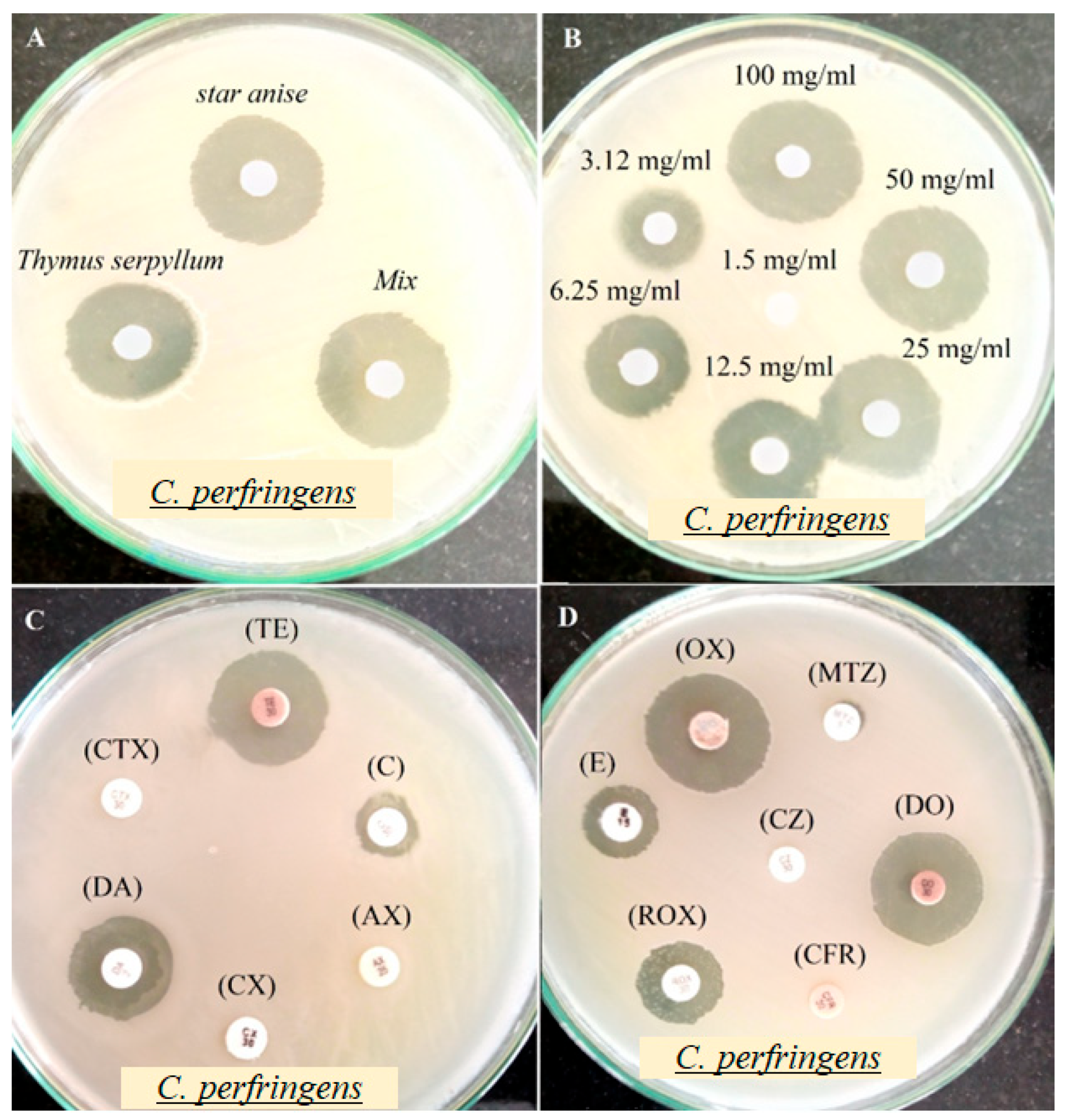 Pathogens 14 00552 g003