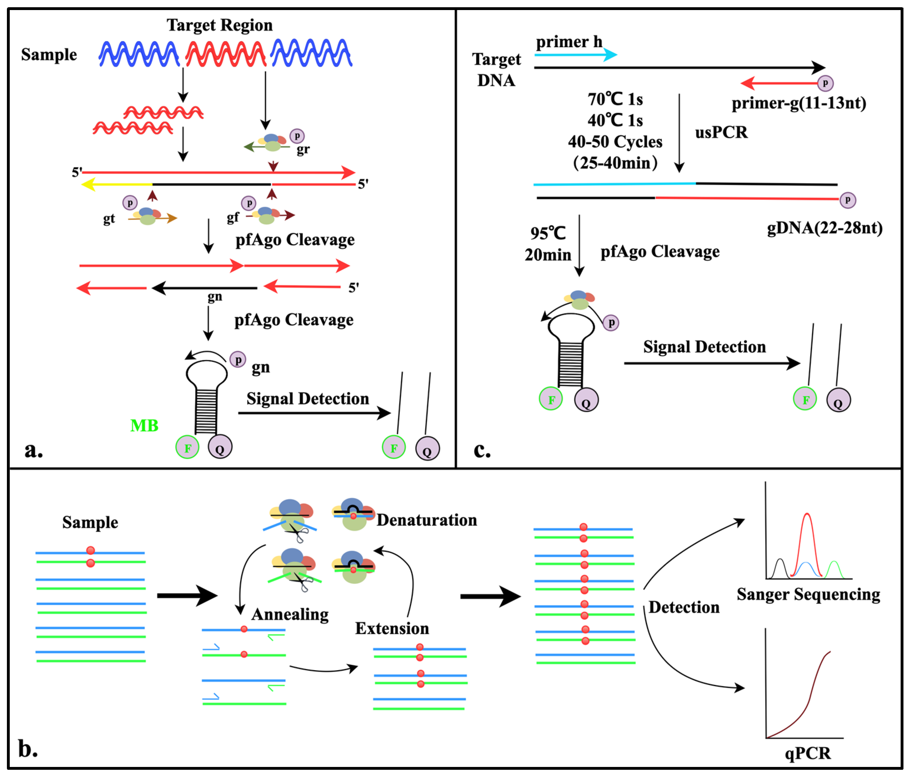 Pathogens 14 00554 g002