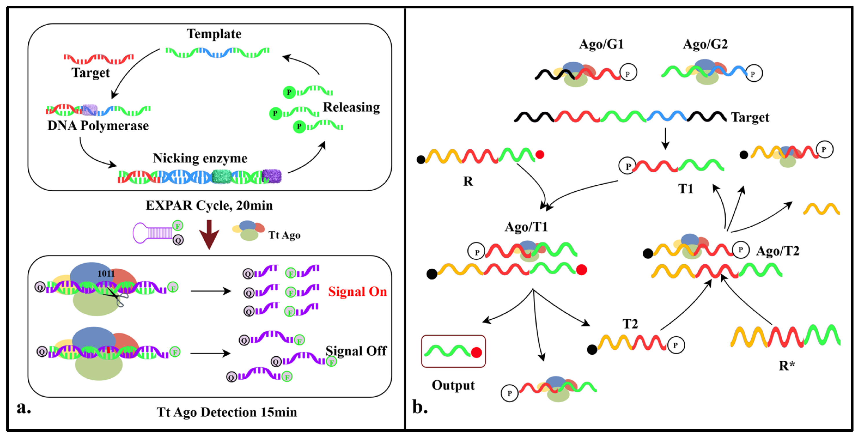 Pathogens 14 00554 g003