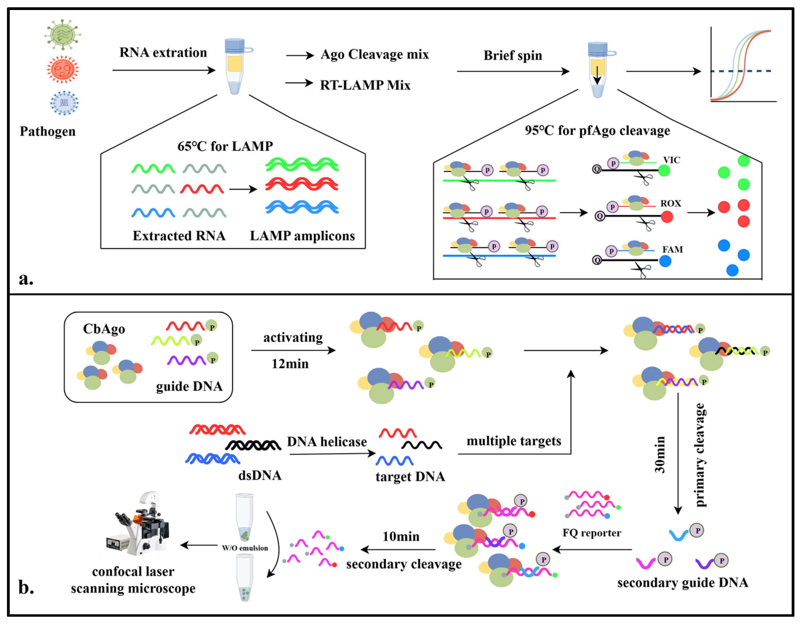 Pathogens 14 00554 g004