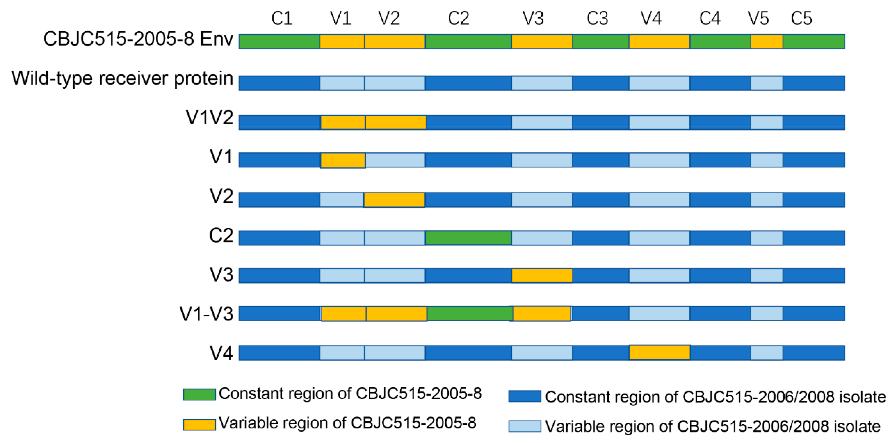 Pathogens 14 00556 g001