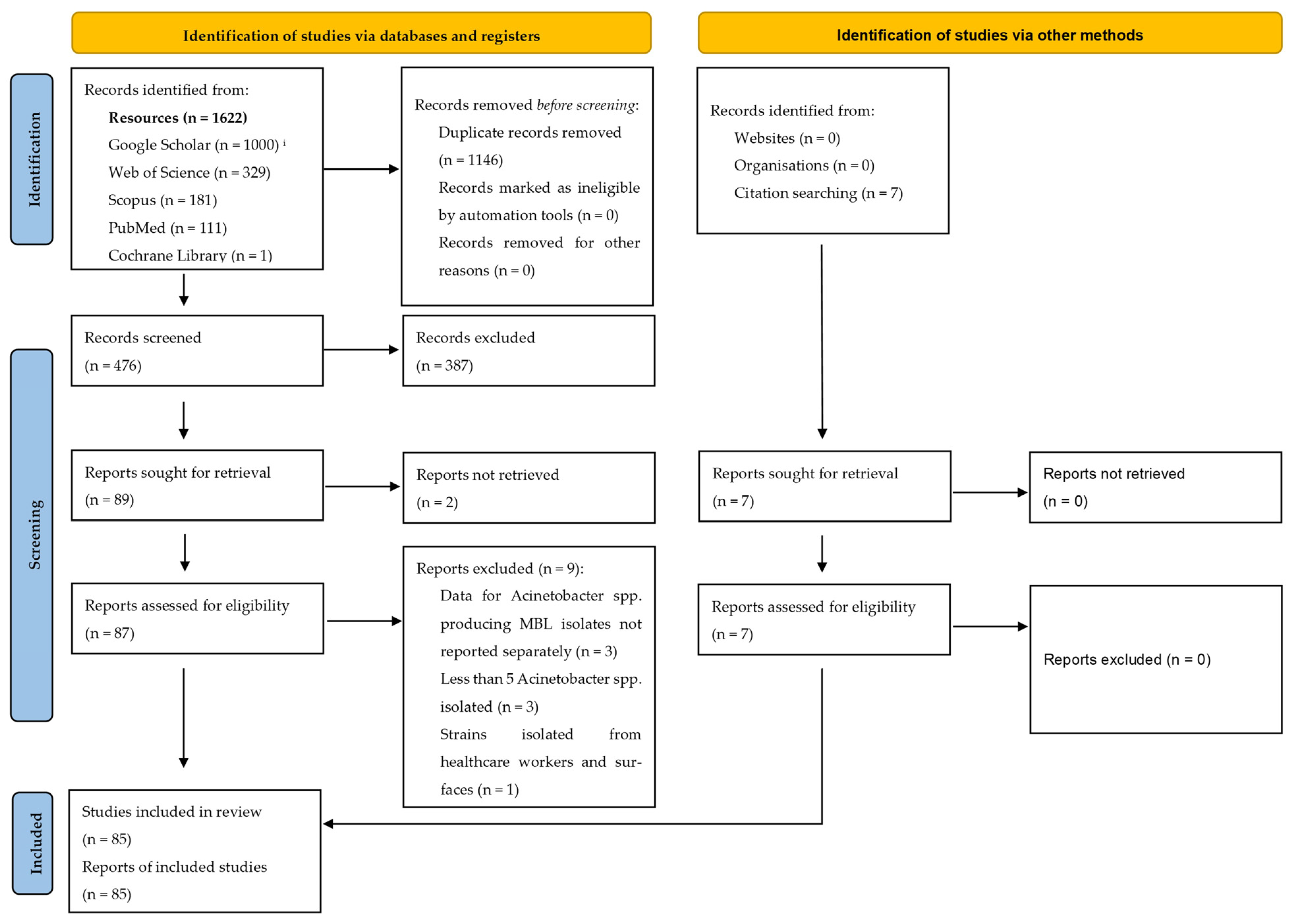 Pathogens 14 00557 g001