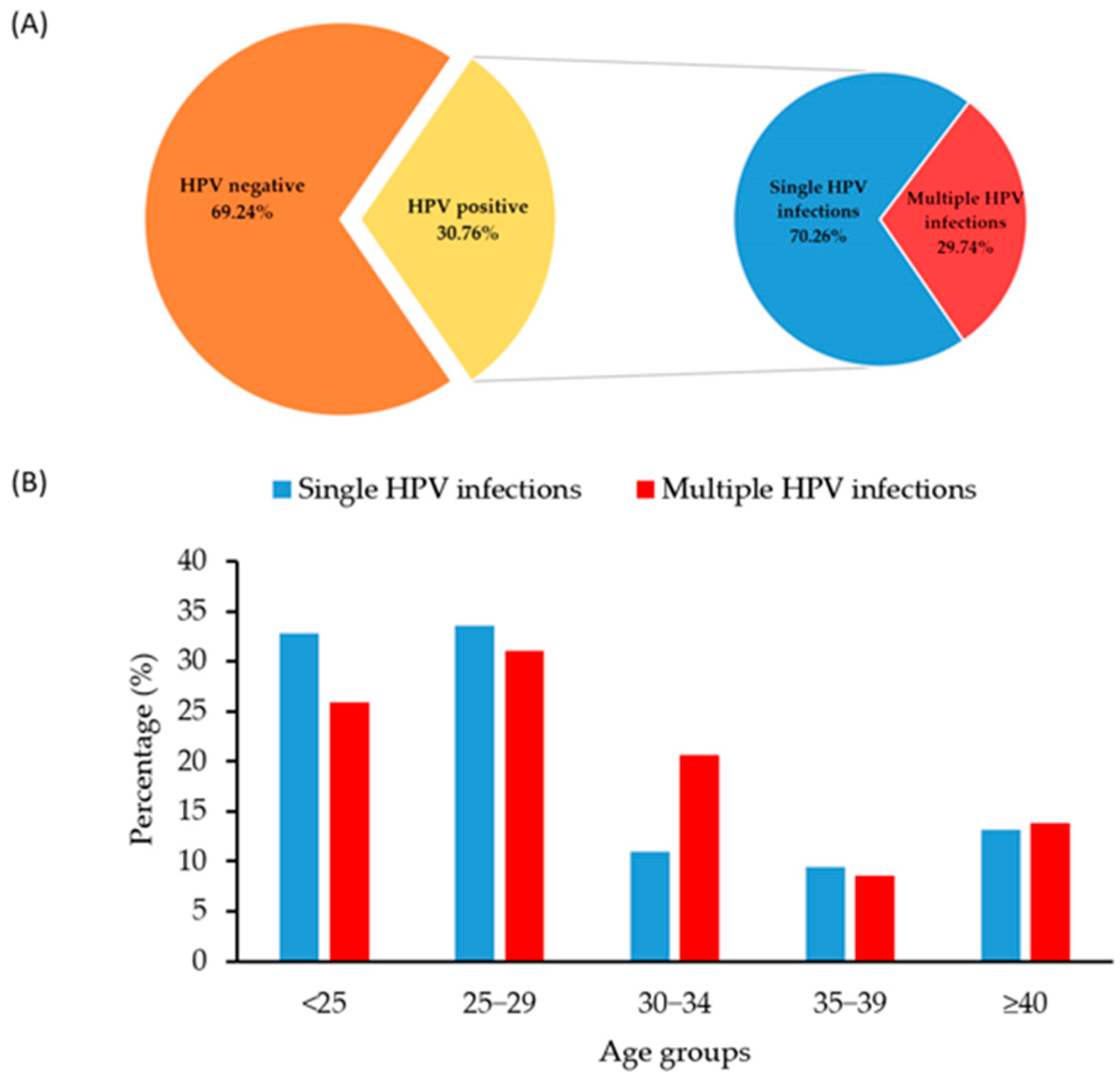 Pathogens 14 00558 g002