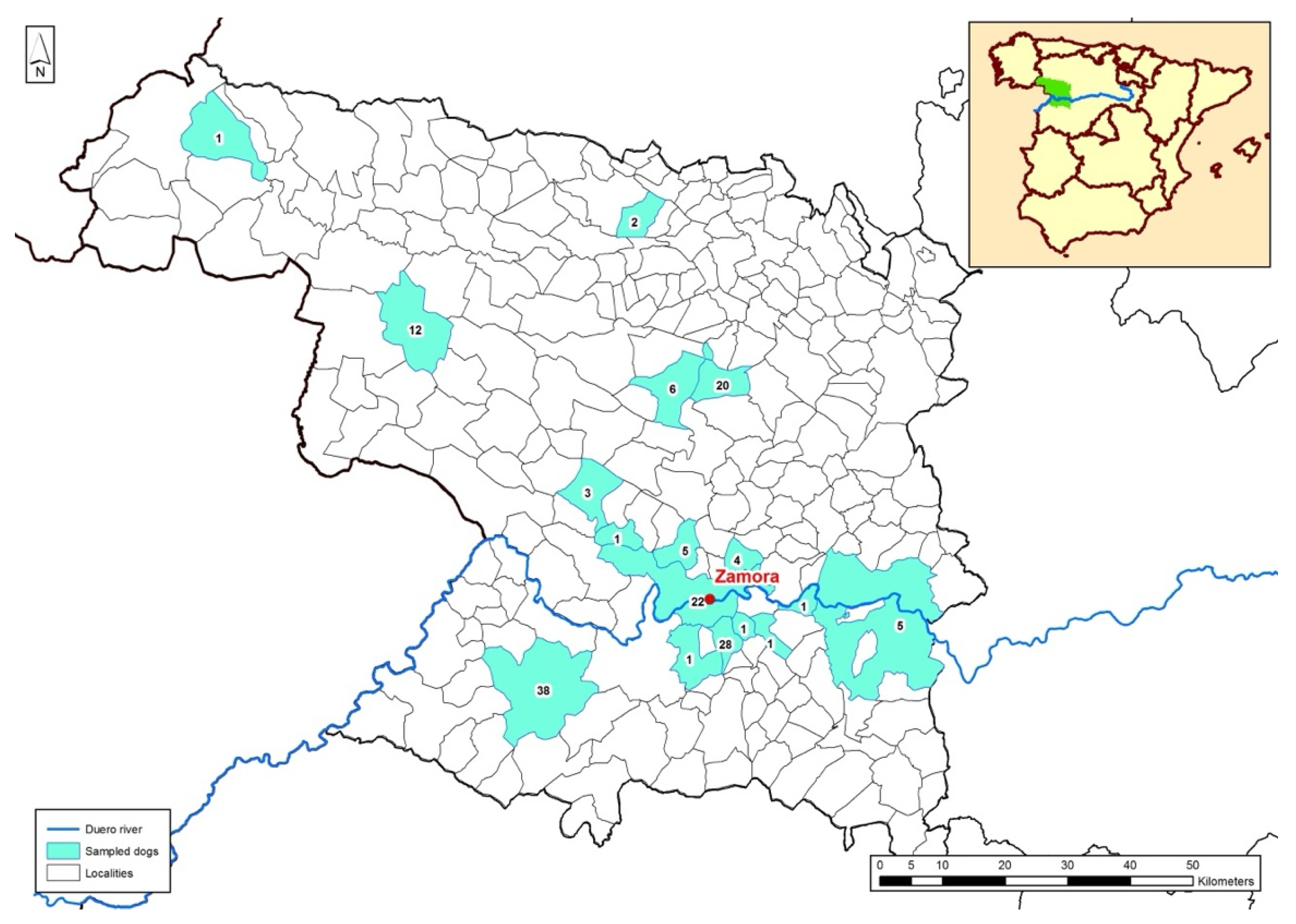 Pathogens 14 00569 g001