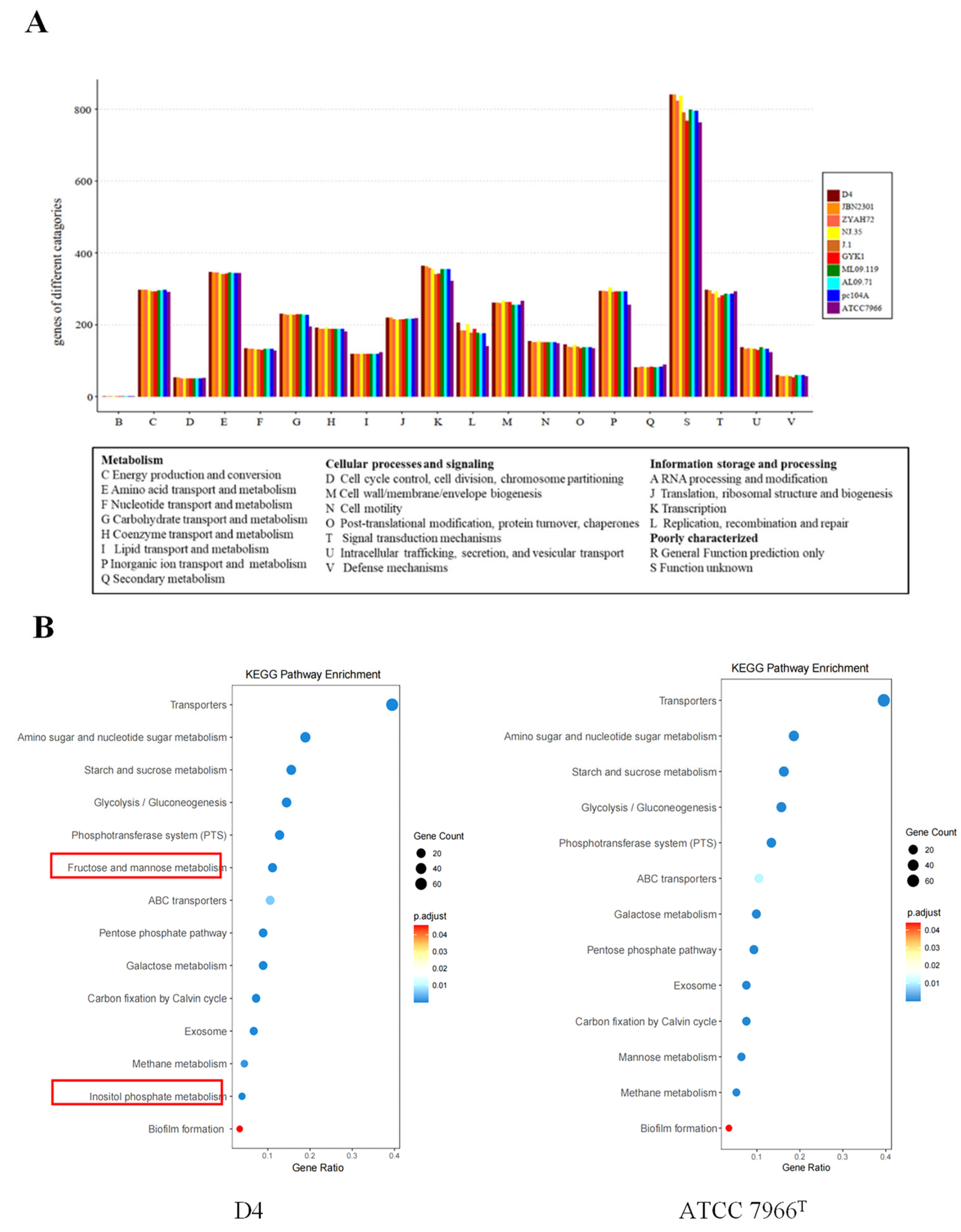 Pathogens 14 00570 g004