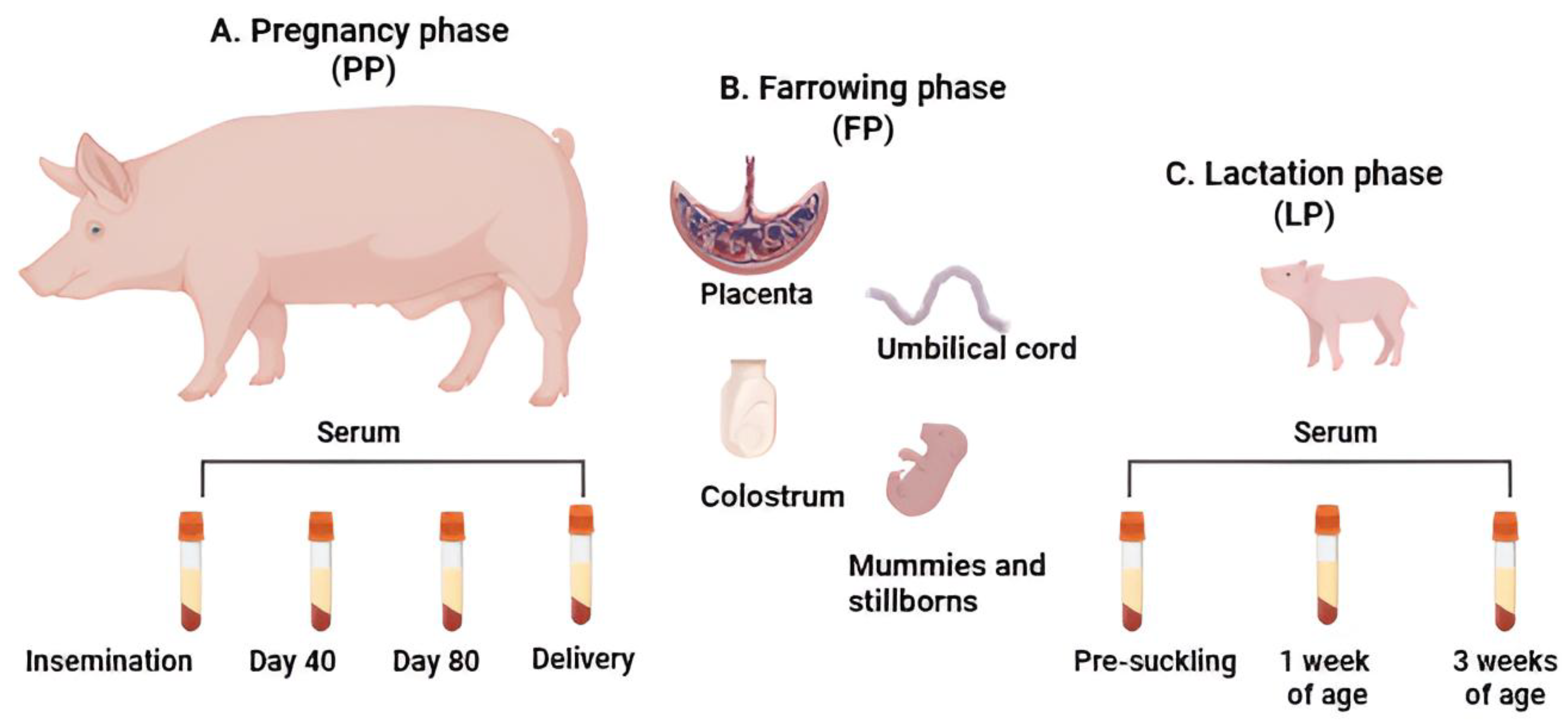 Pathogens 14 00573 g001