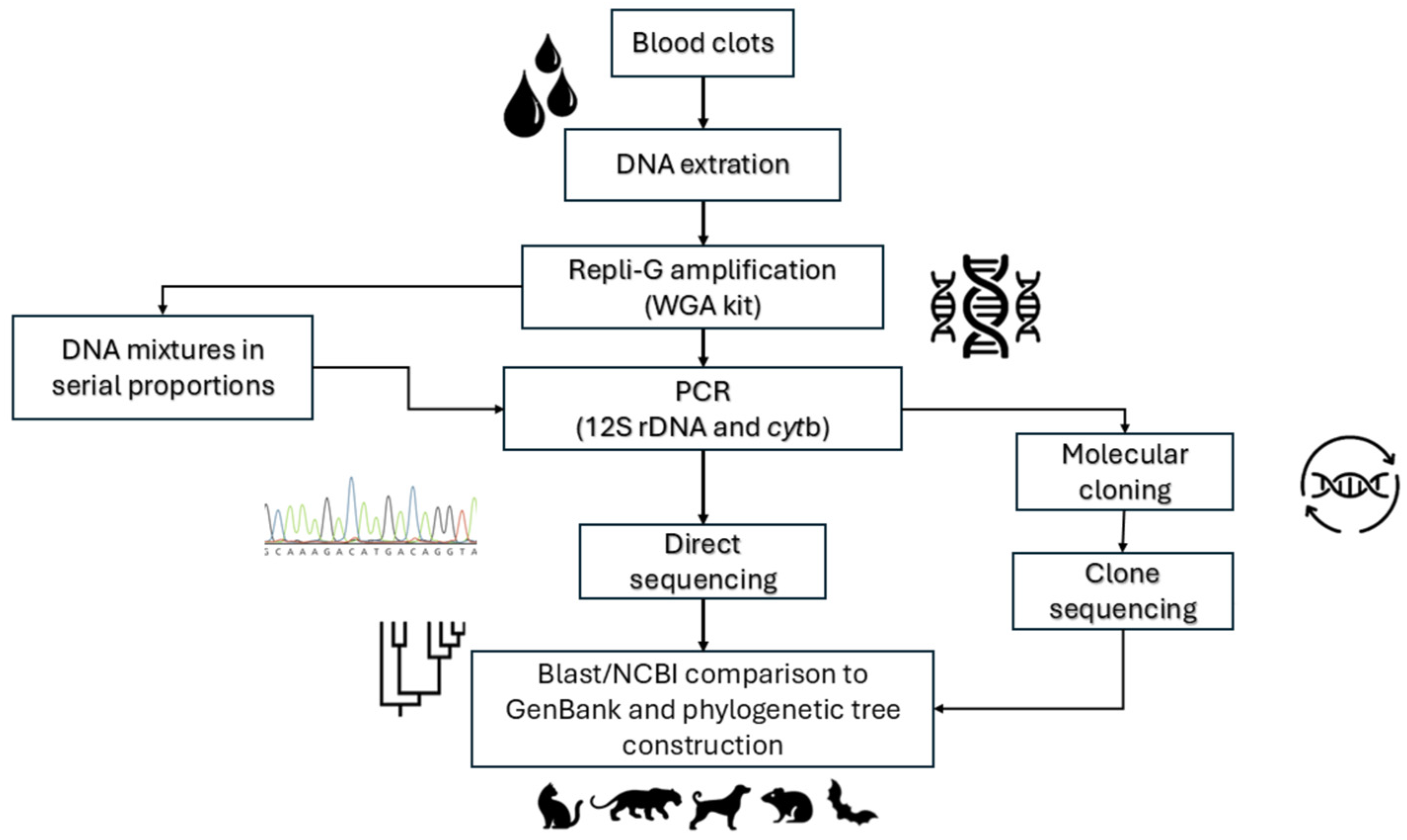 Pathogens 14 00579 g001