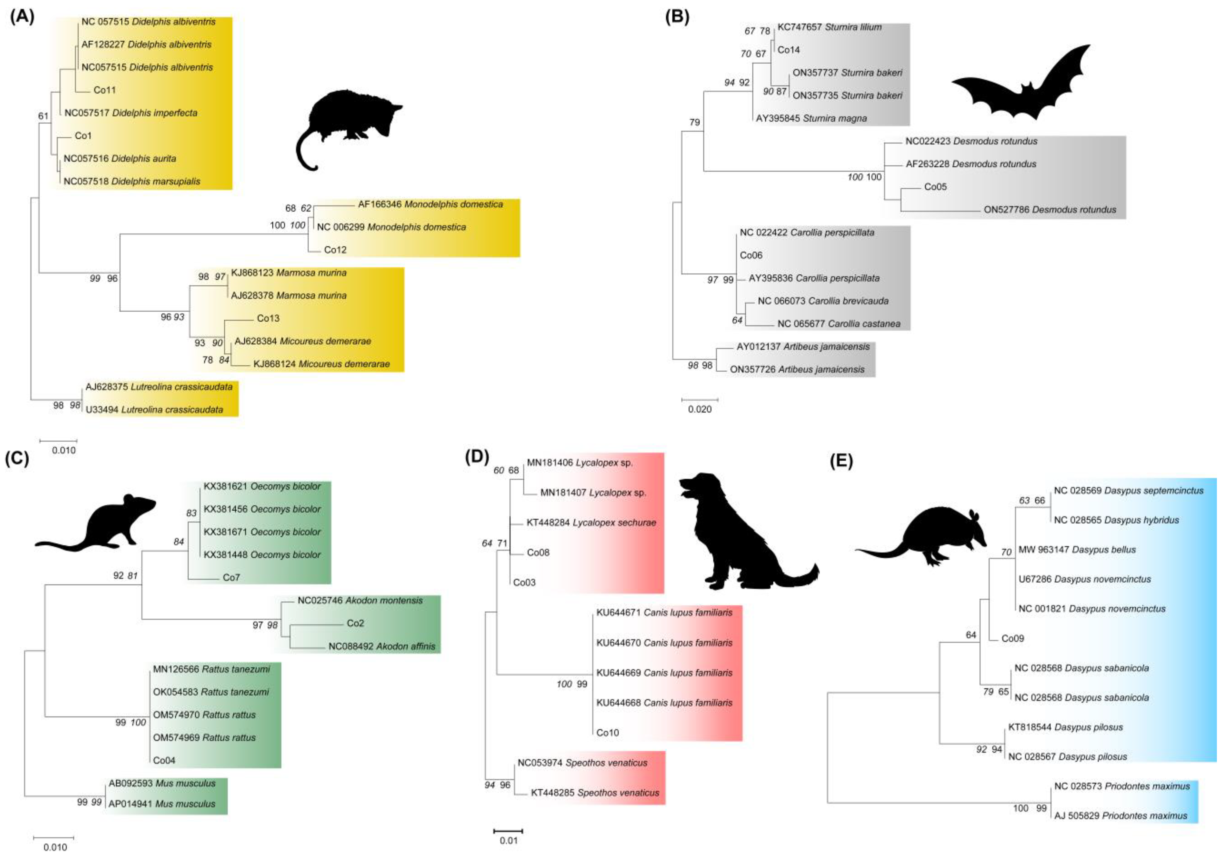 Pathogens 14 00579 g002