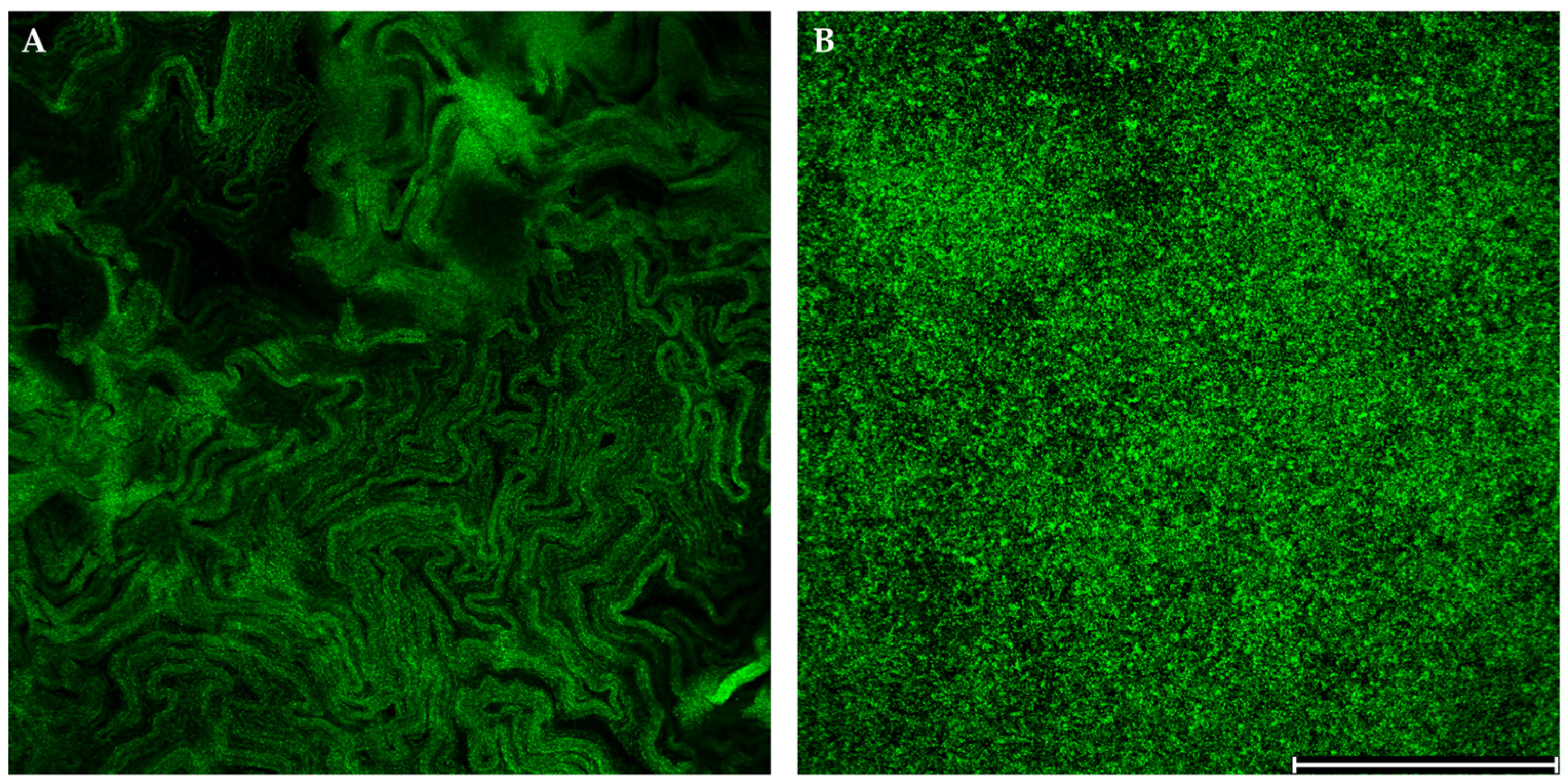 Pathogens 14 00582 g003 Pathogens 14 00582 g003