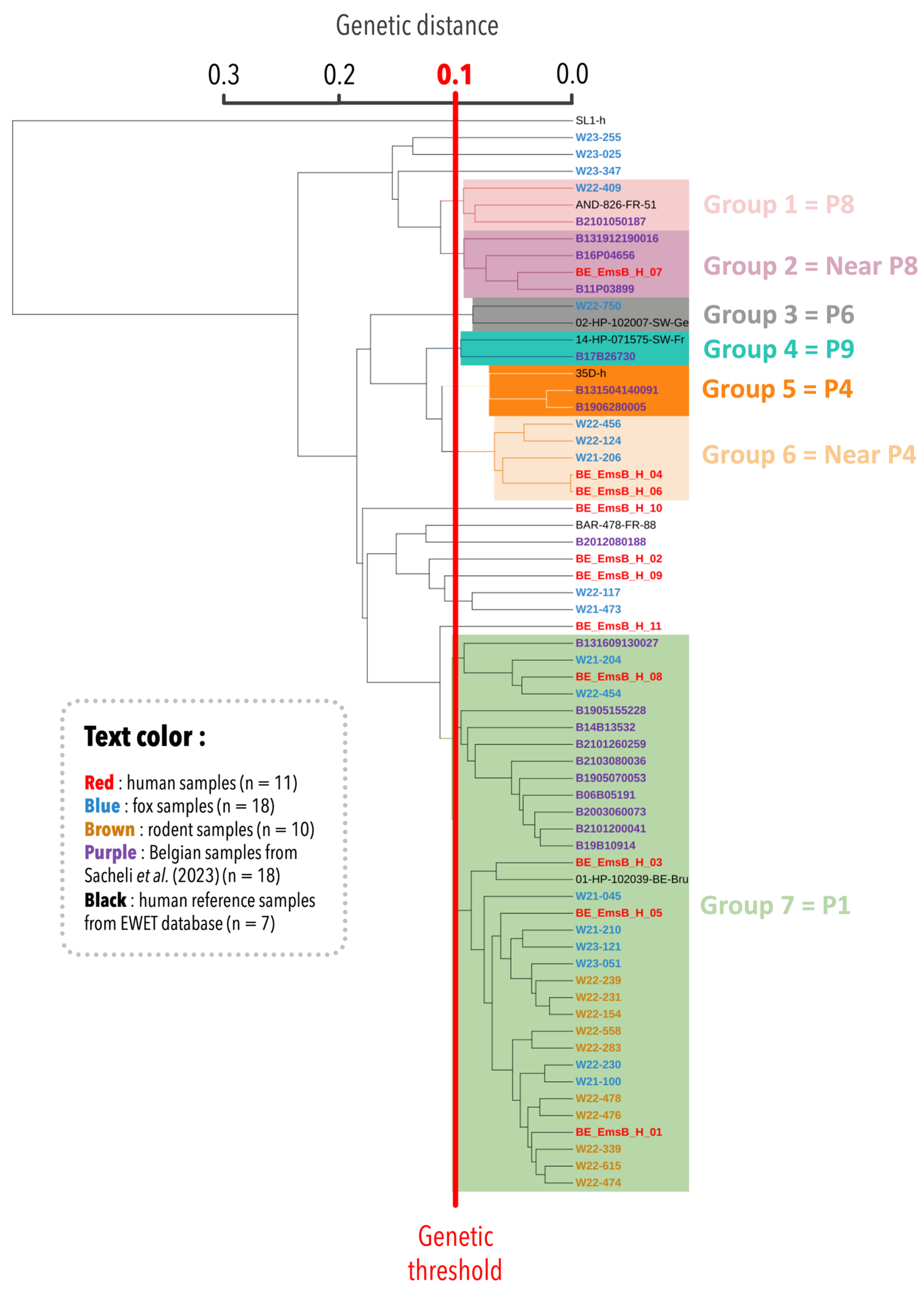 Pathogens 14 00584 g001