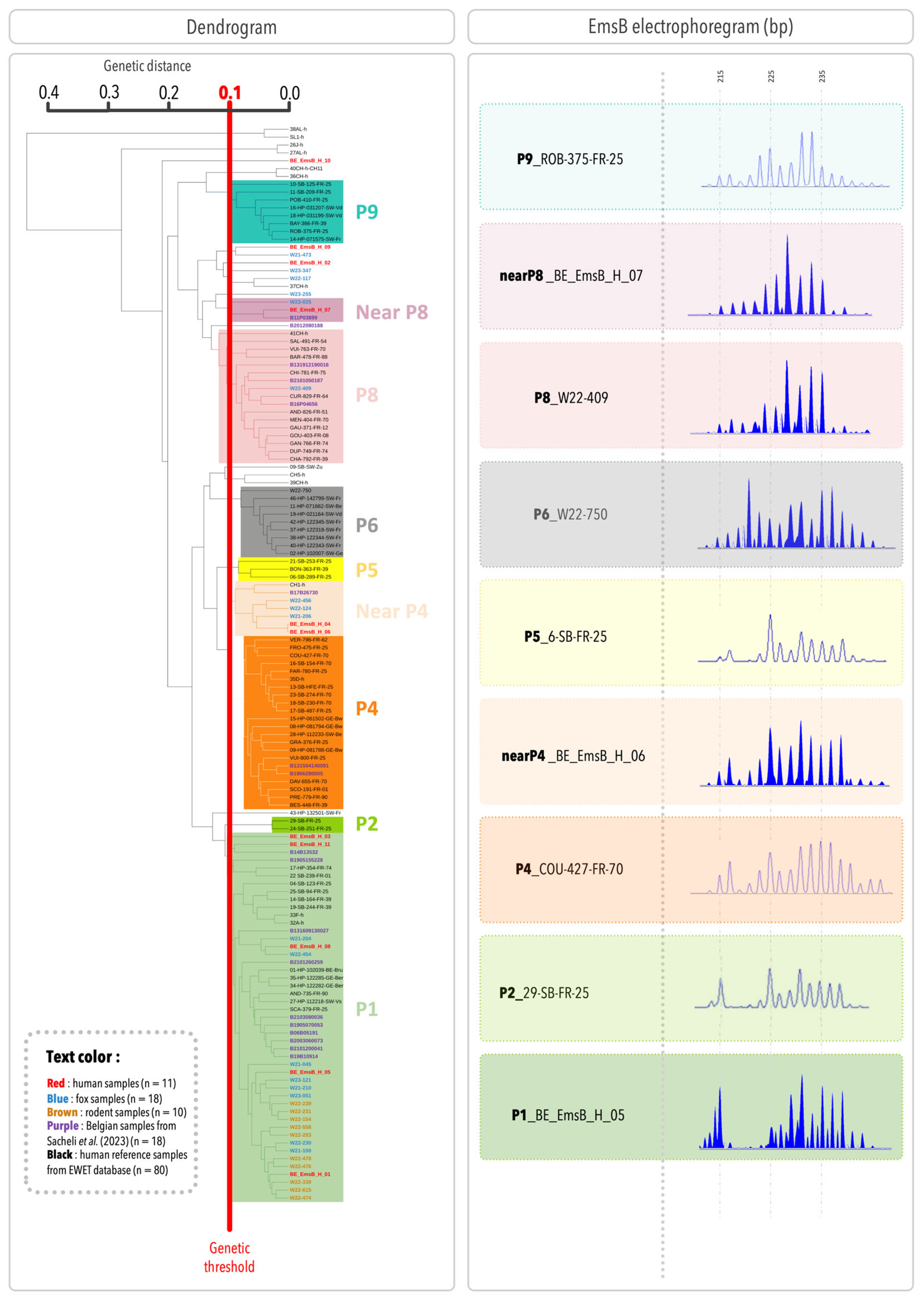 Pathogens 14 00584 g002