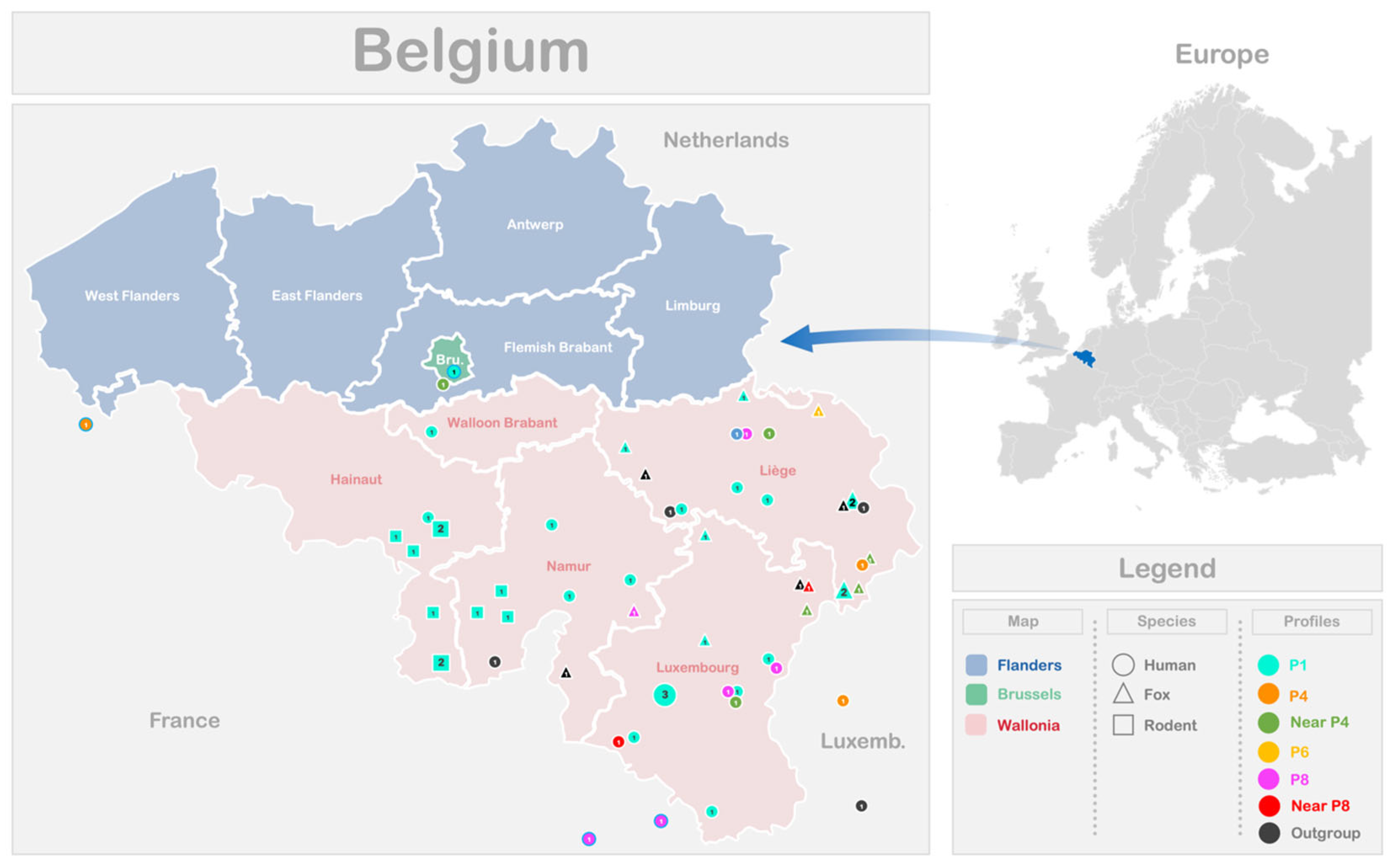 Pathogens 14 00584 g003