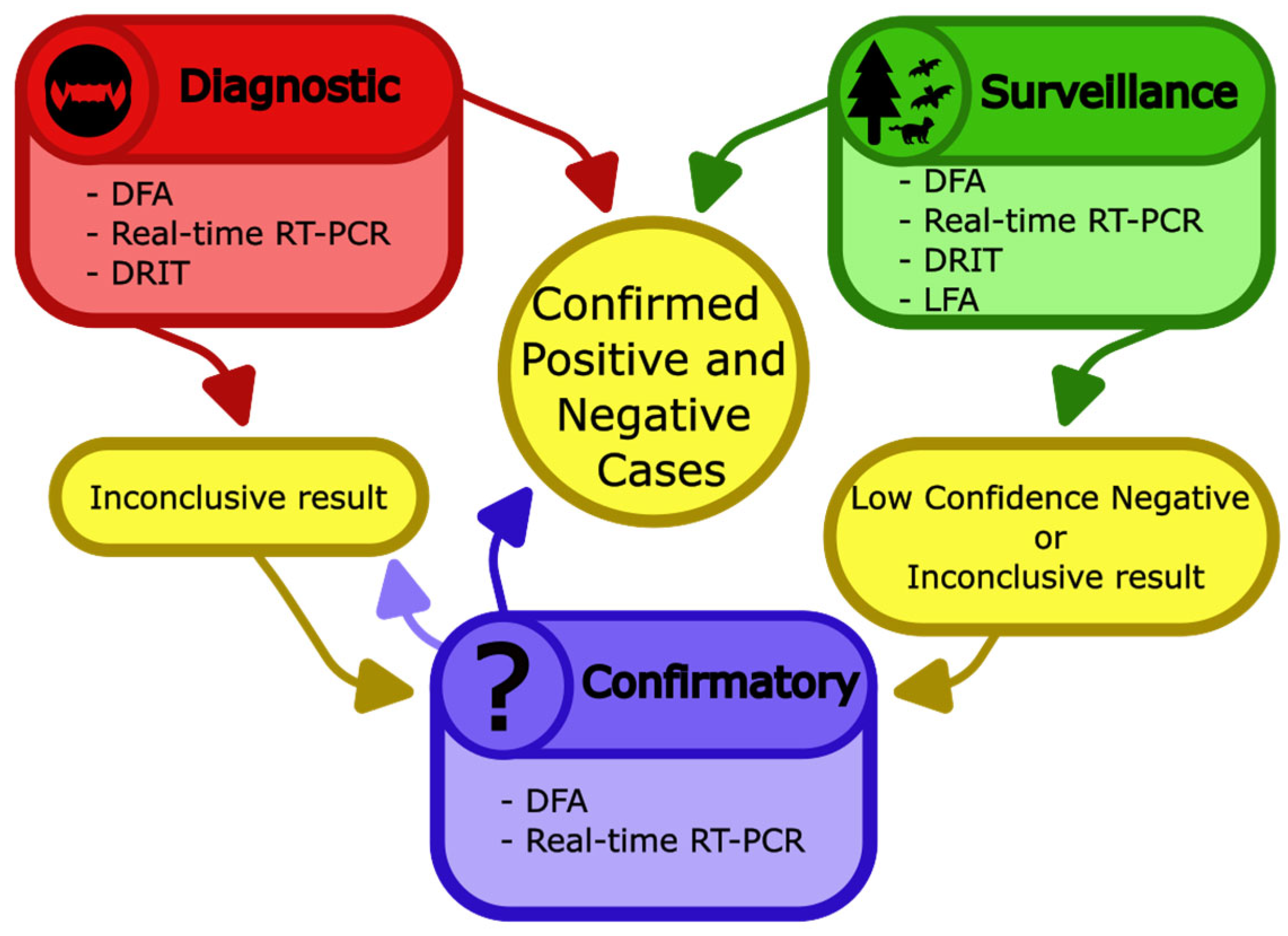 Pathogens 14 00586 g006