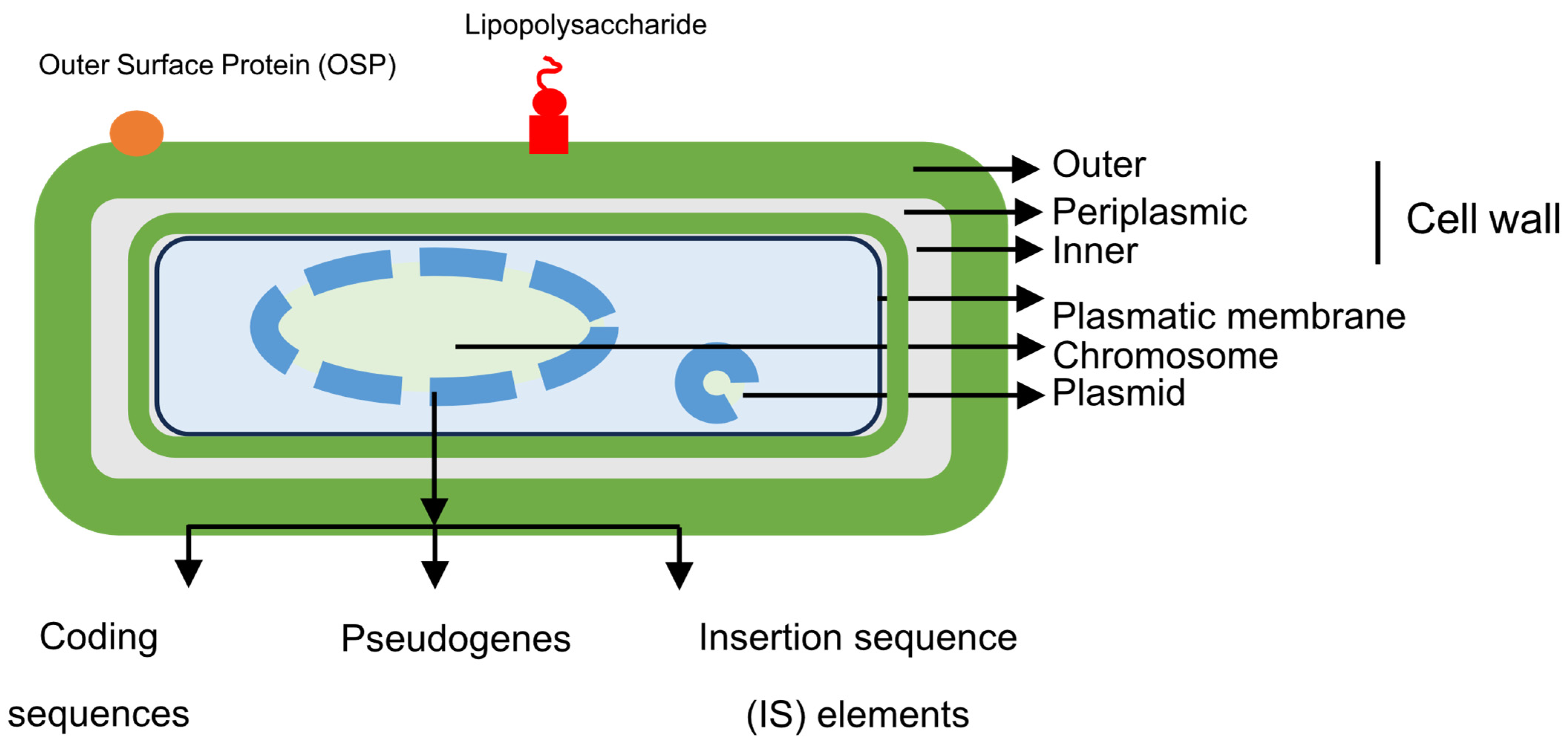 Pathogens 14 00589 g002 Pathogens 14 00589 g002