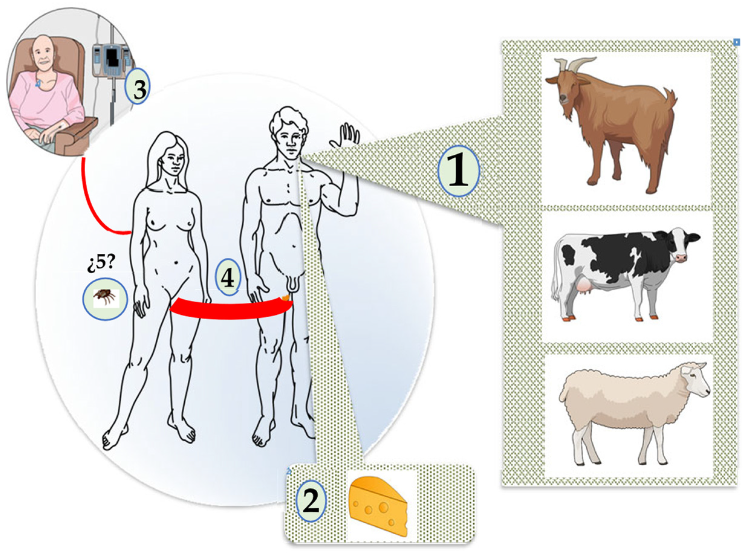 Pathogens 14 00589 g004 Pathogens 14 00589 g004