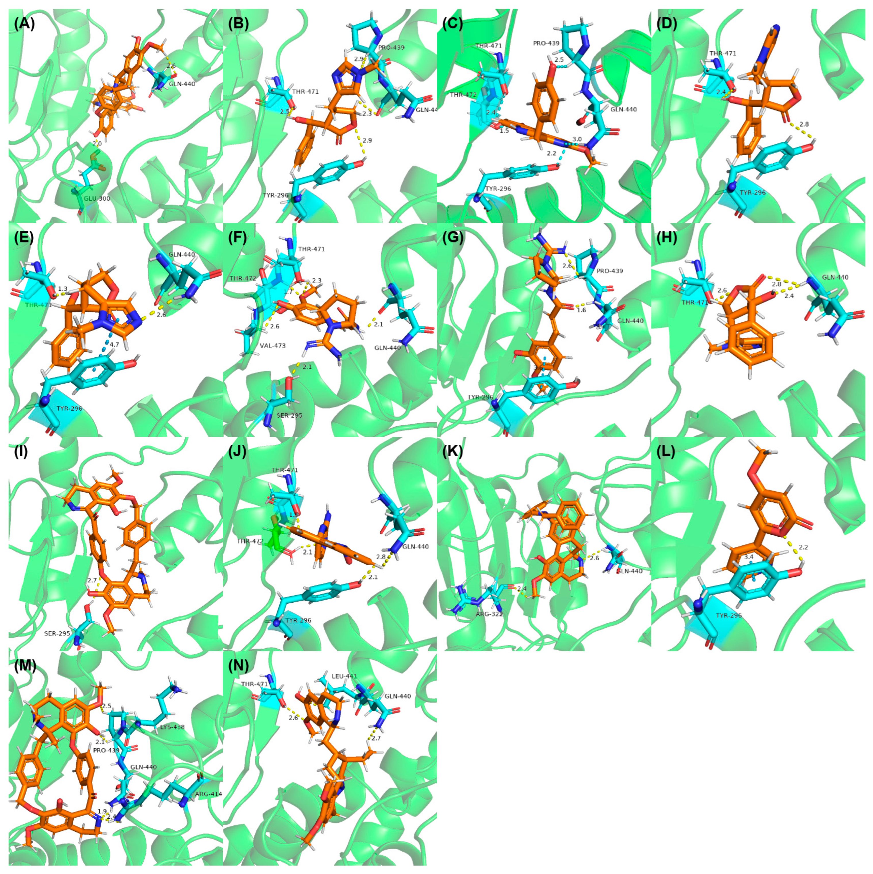 Pathogens 14 00591 g004
