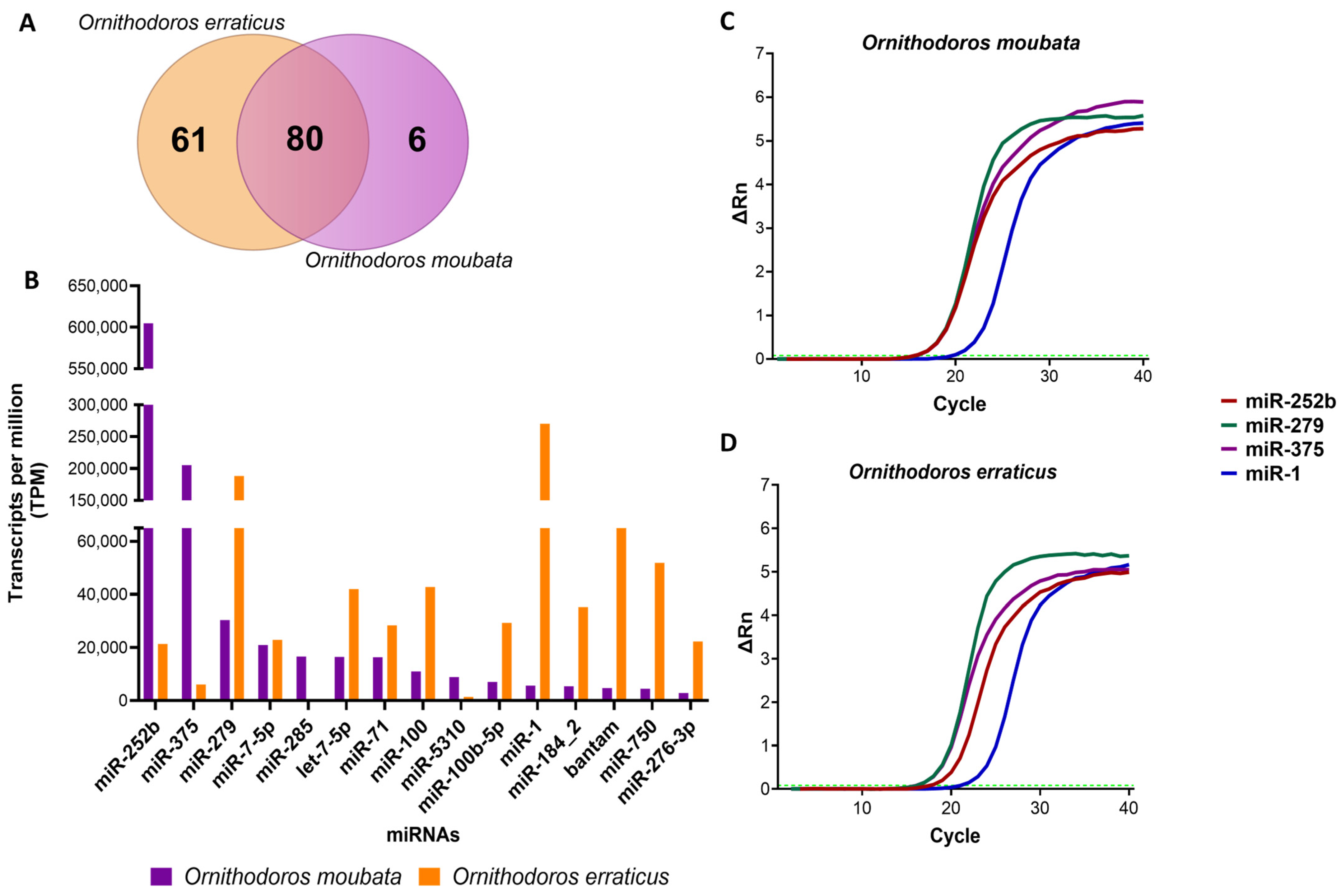 Pathogens 14 00595 g001