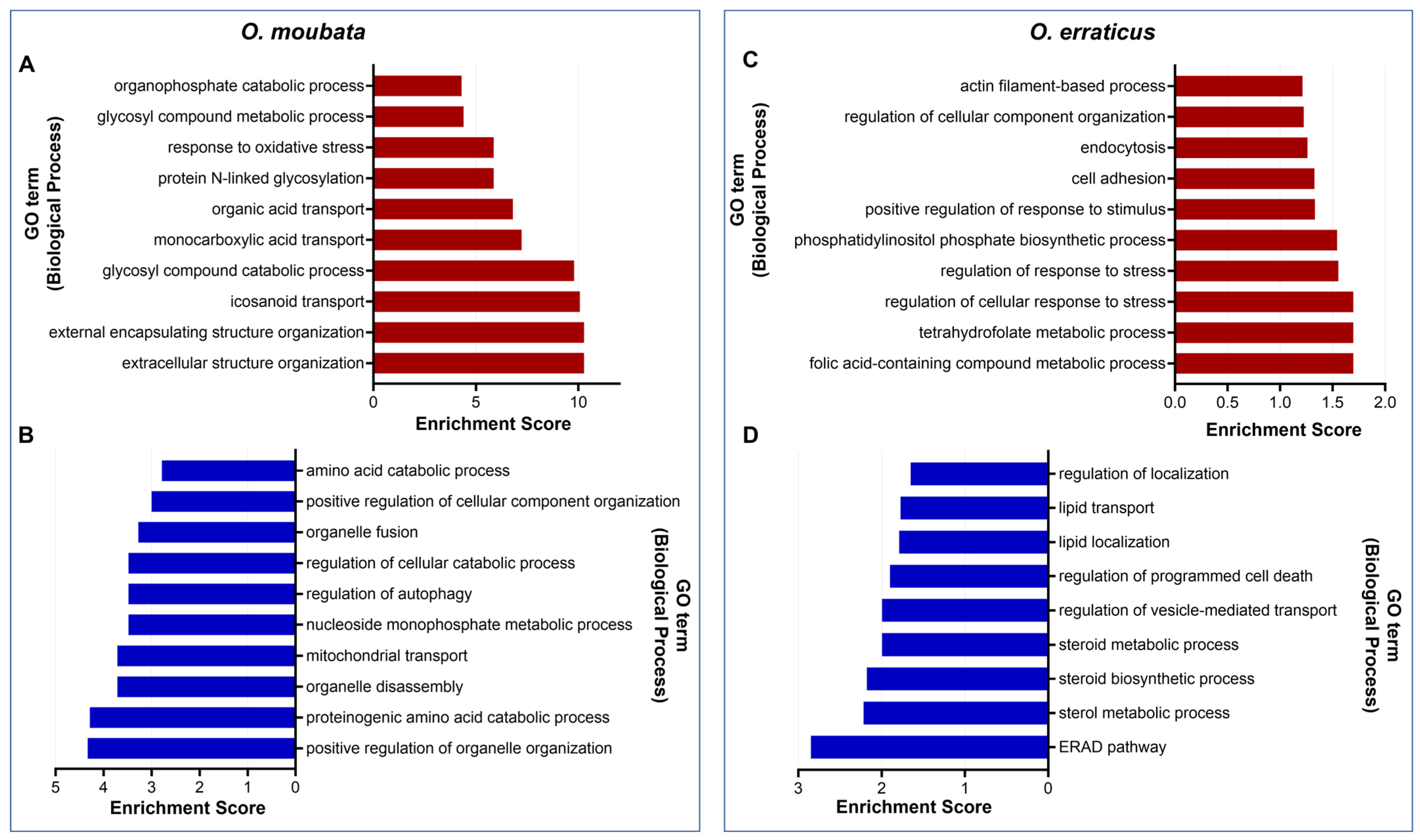 Pathogens 14 00595 g003