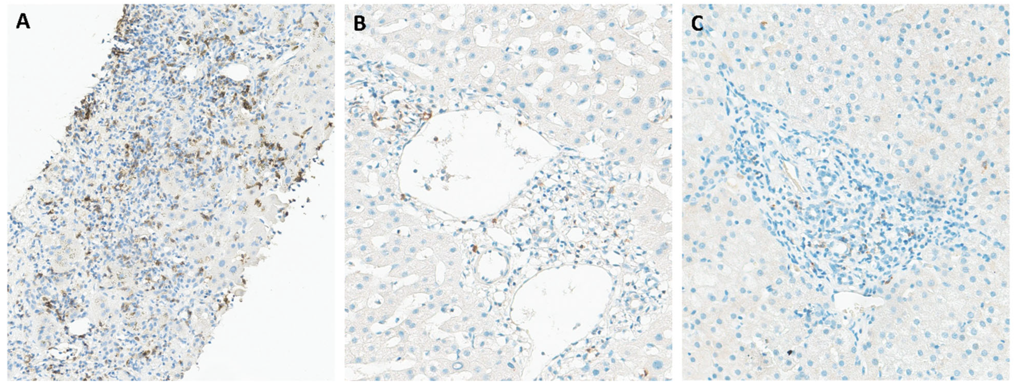 Pathogens 14 00596 g001 Pathogens 14 00596 g001