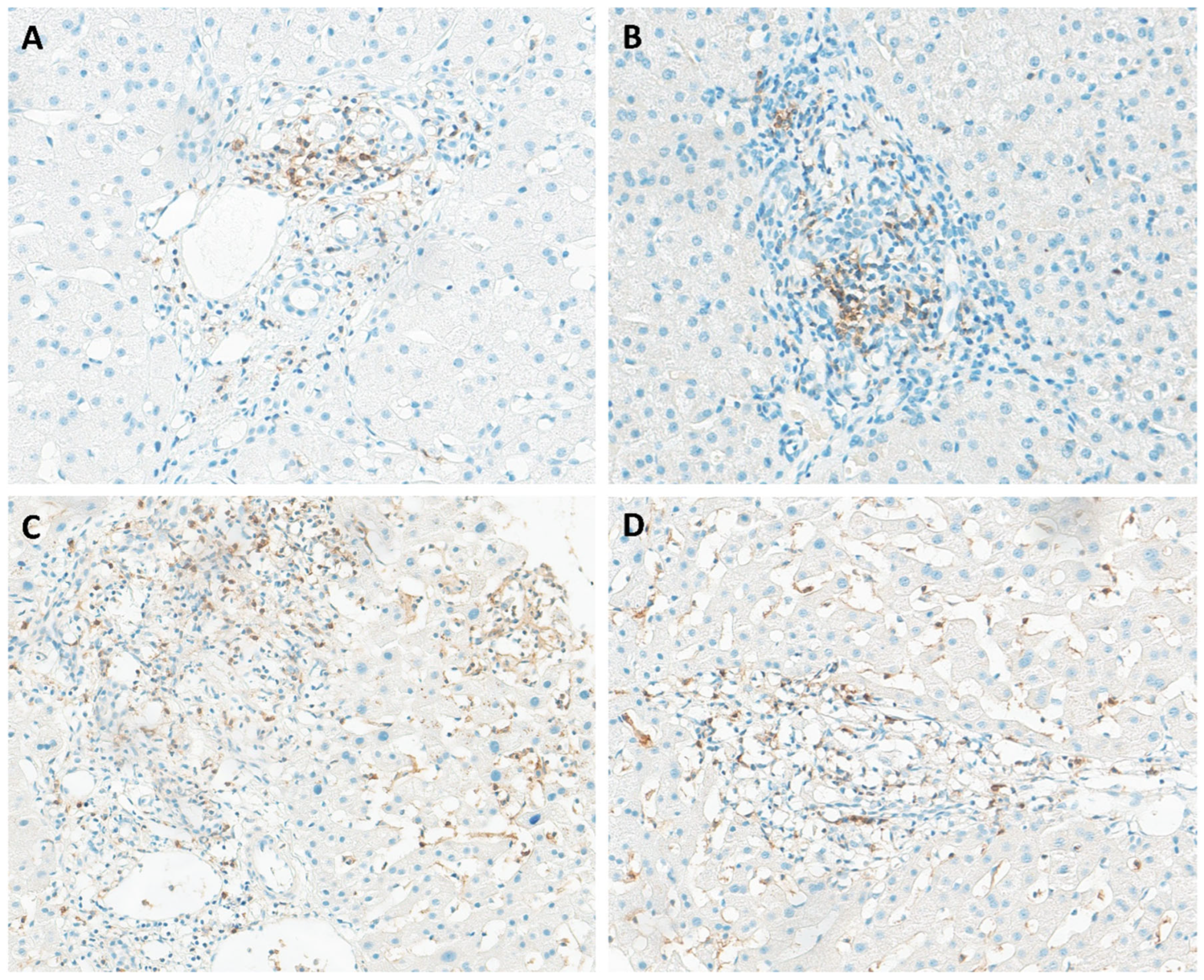 Pathogens 14 00596 g003 Pathogens 14 00596 g003