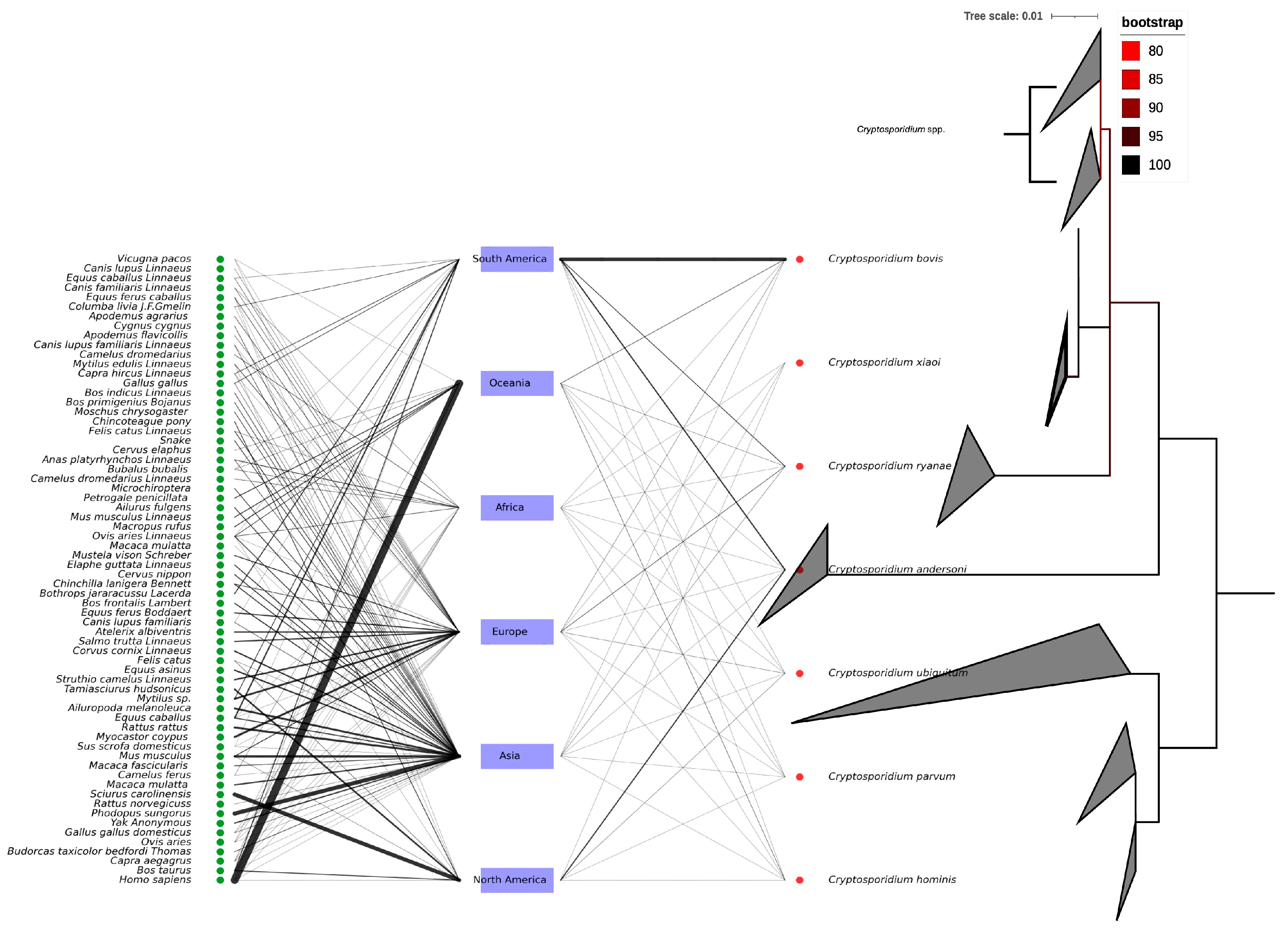 Pathogens 14 00597 g002