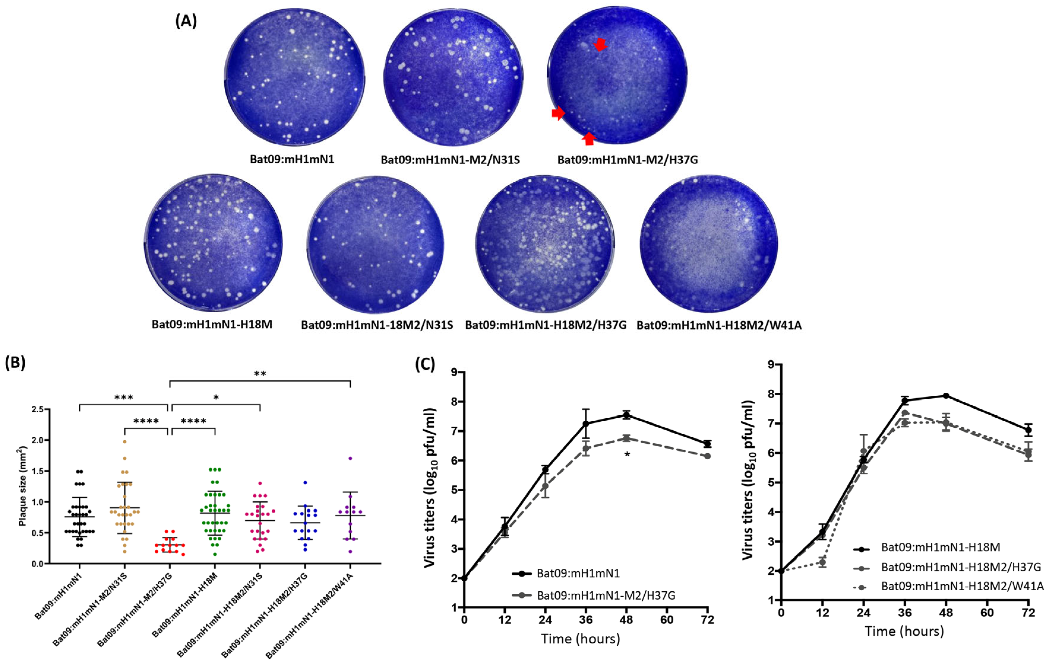 Pathogens 14 00599 g003