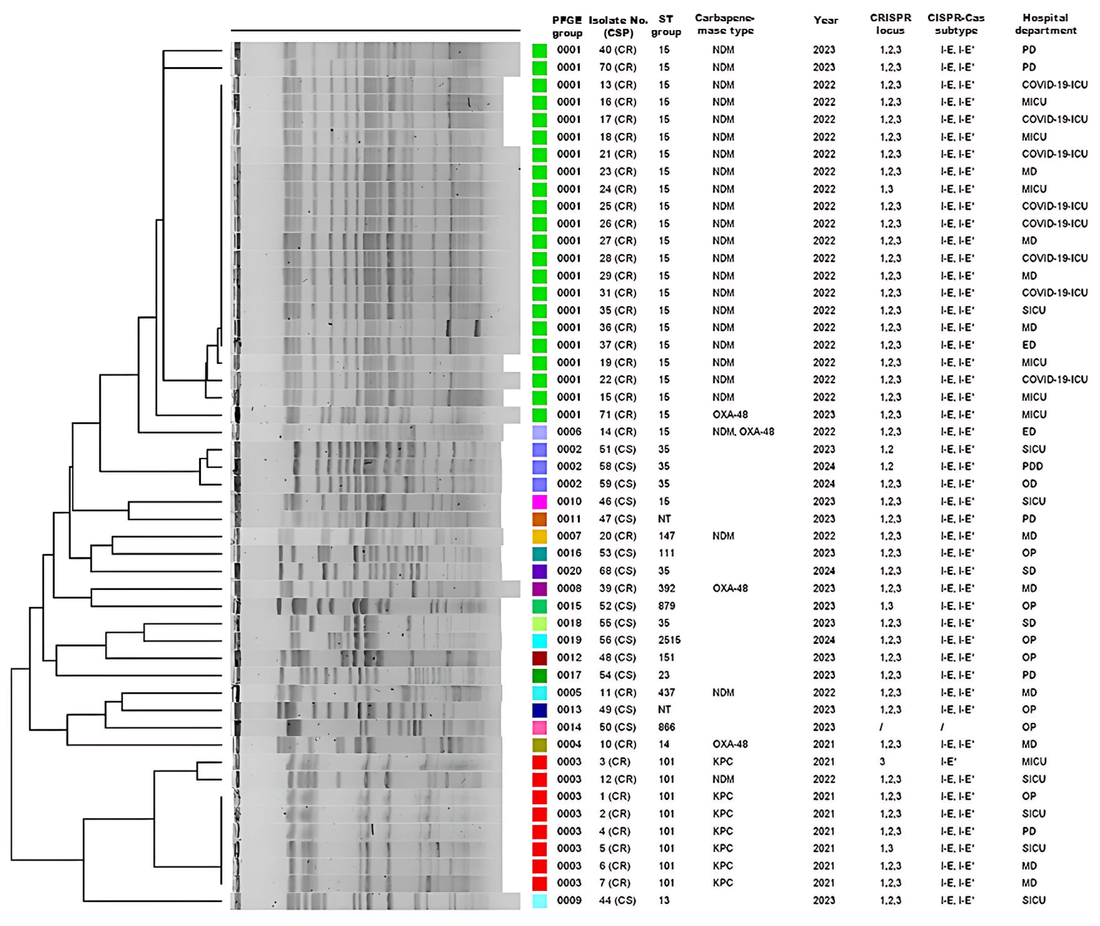 Pathogens 14 00604 g003