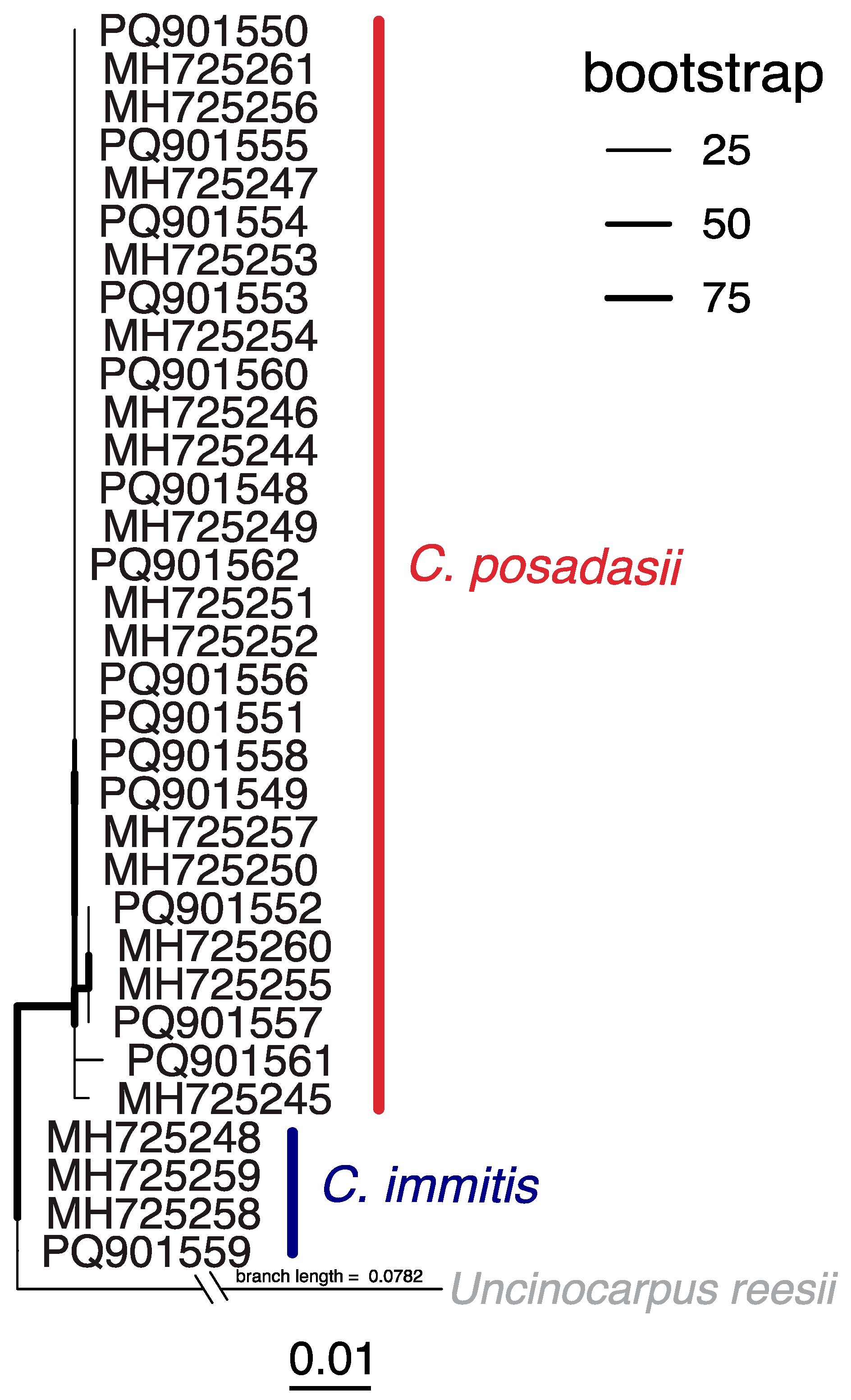 Pathogens 14 00607 g004