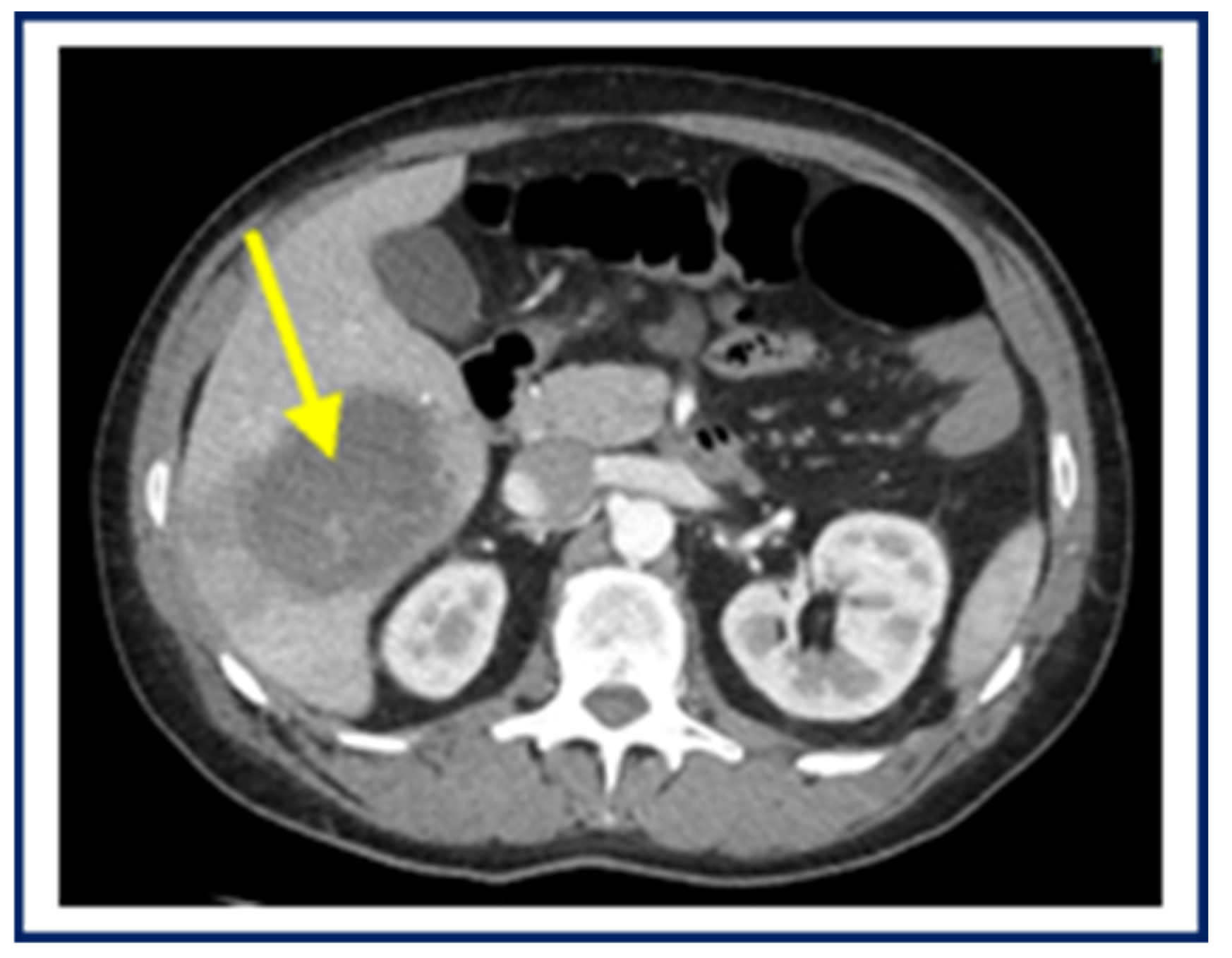 Pathogens 14 00609 g004