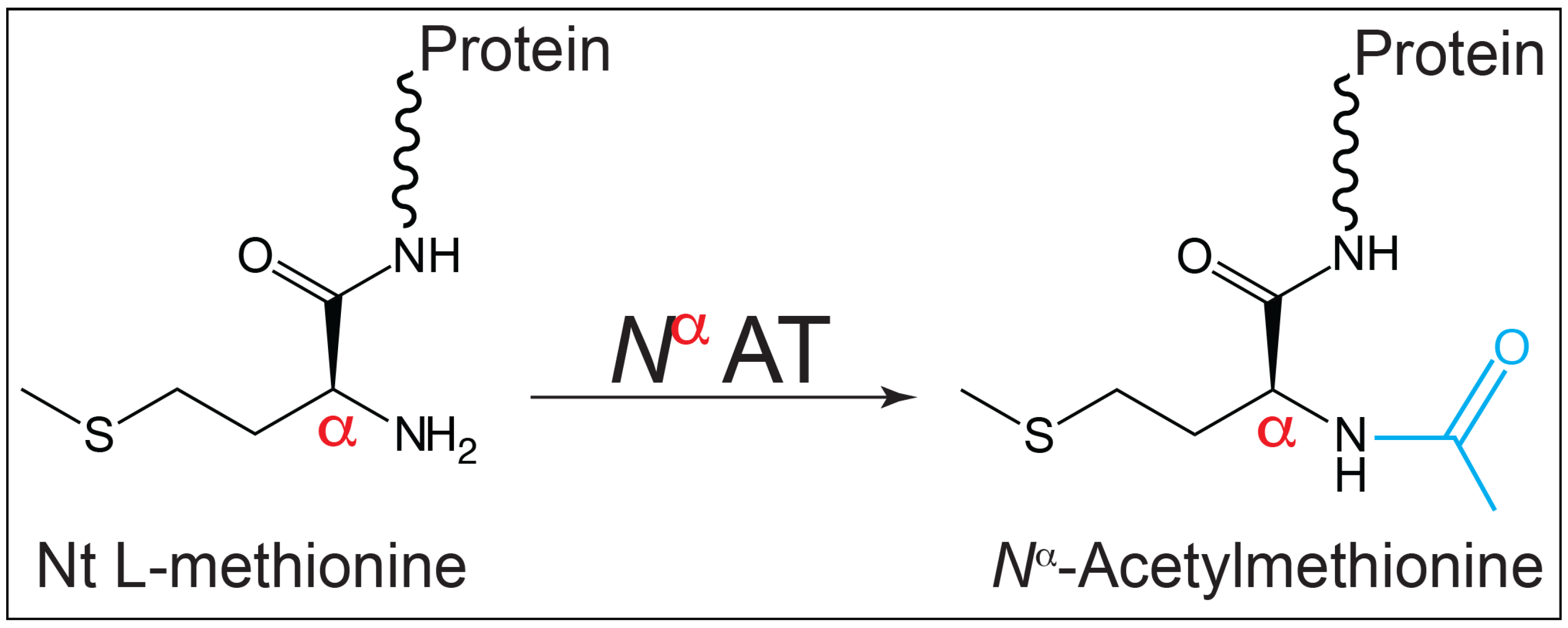 Pathogens 14 00616 g001 Pathogens 14 00616 g001