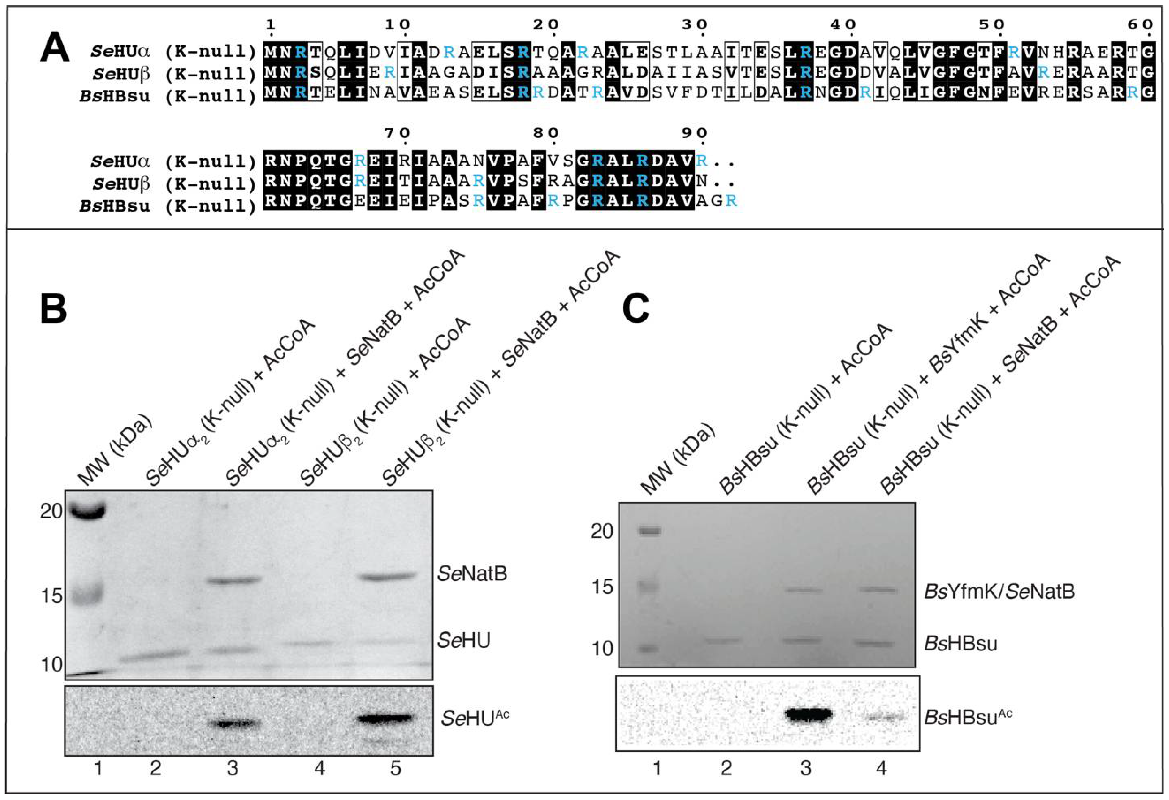 Pathogens 14 00616 g005 Pathogens 14 00616 g005