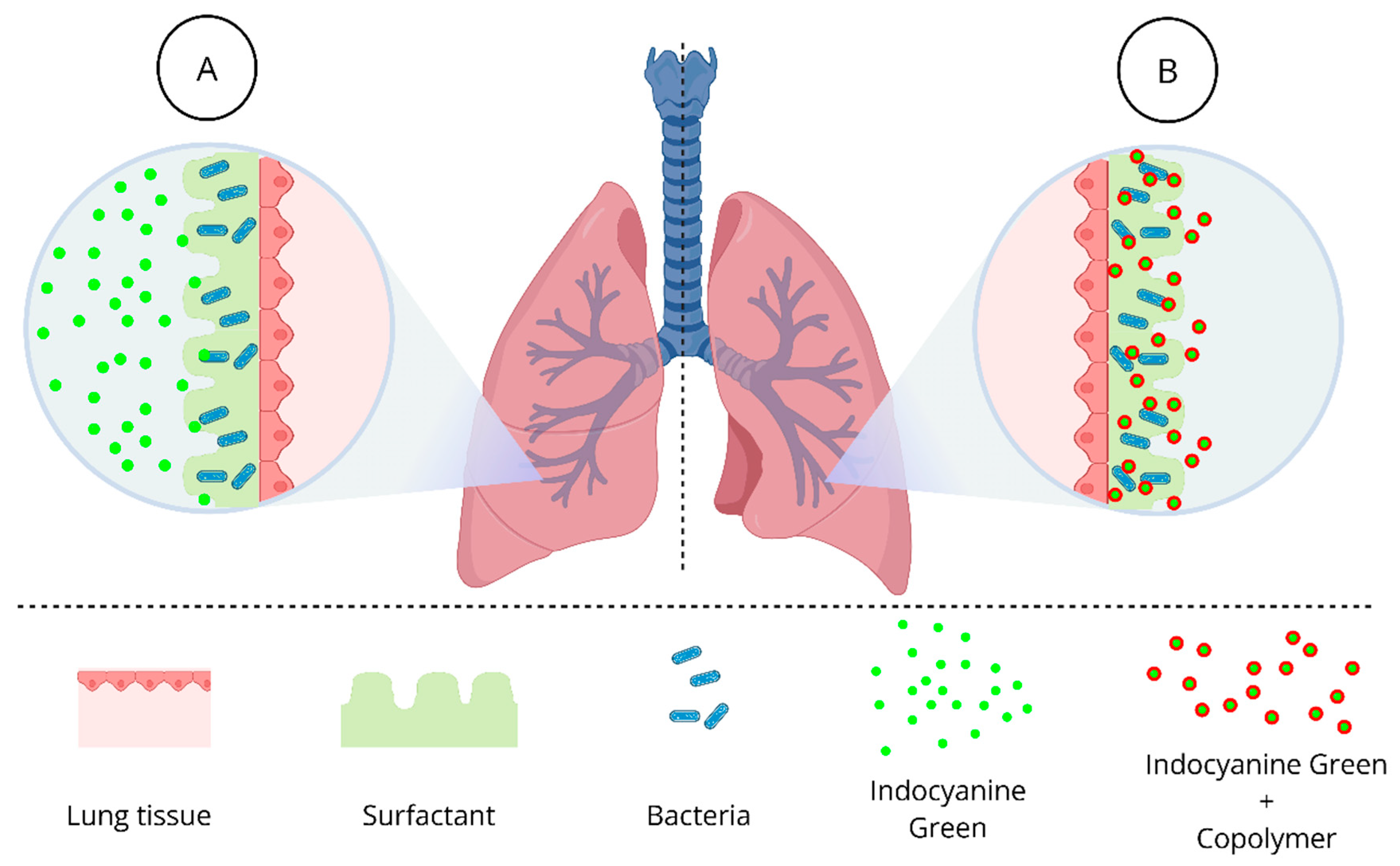 Pathogens 14 00618 g001