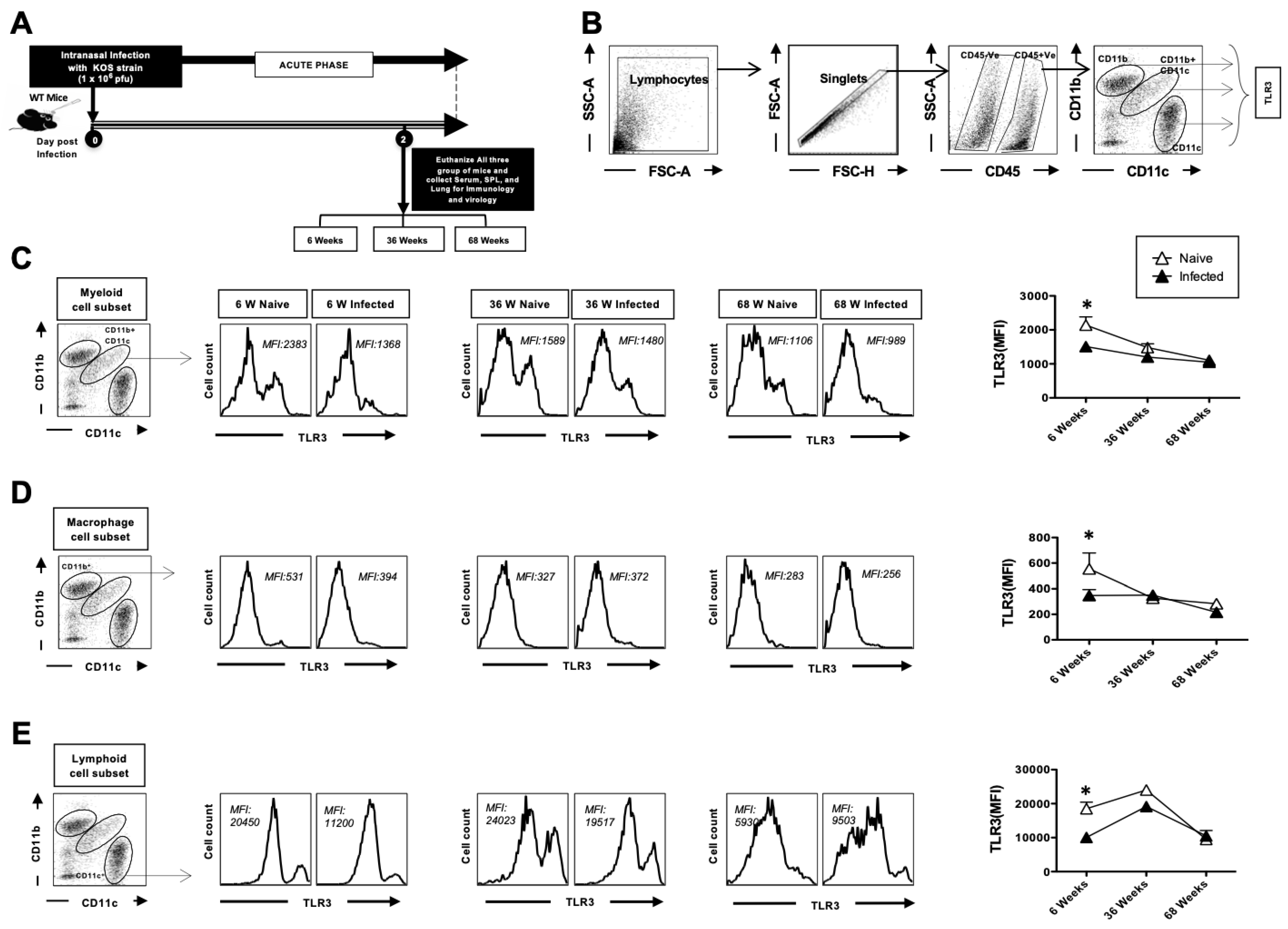 Pathogens 14 00624 g002