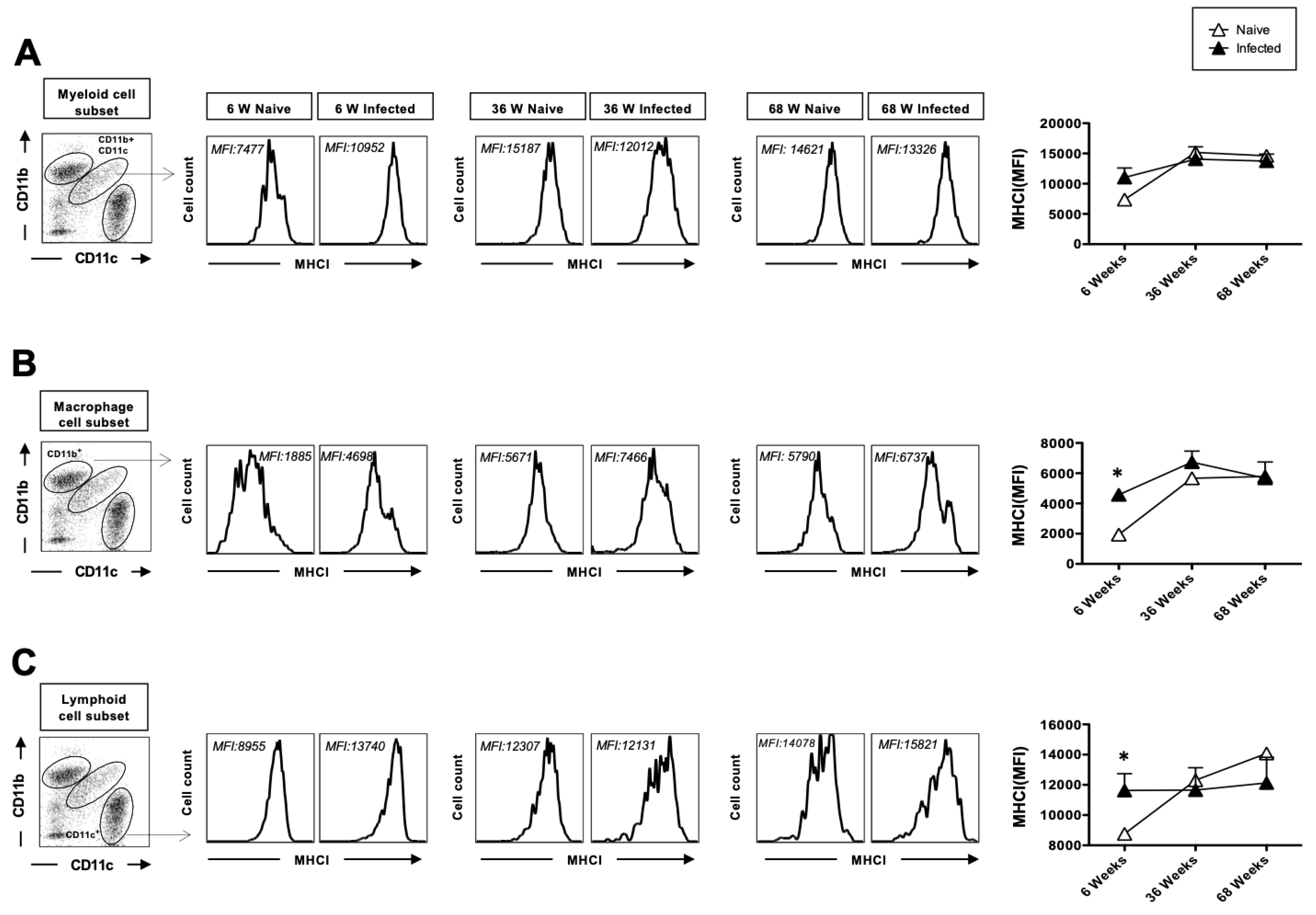 Pathogens 14 00624 g003