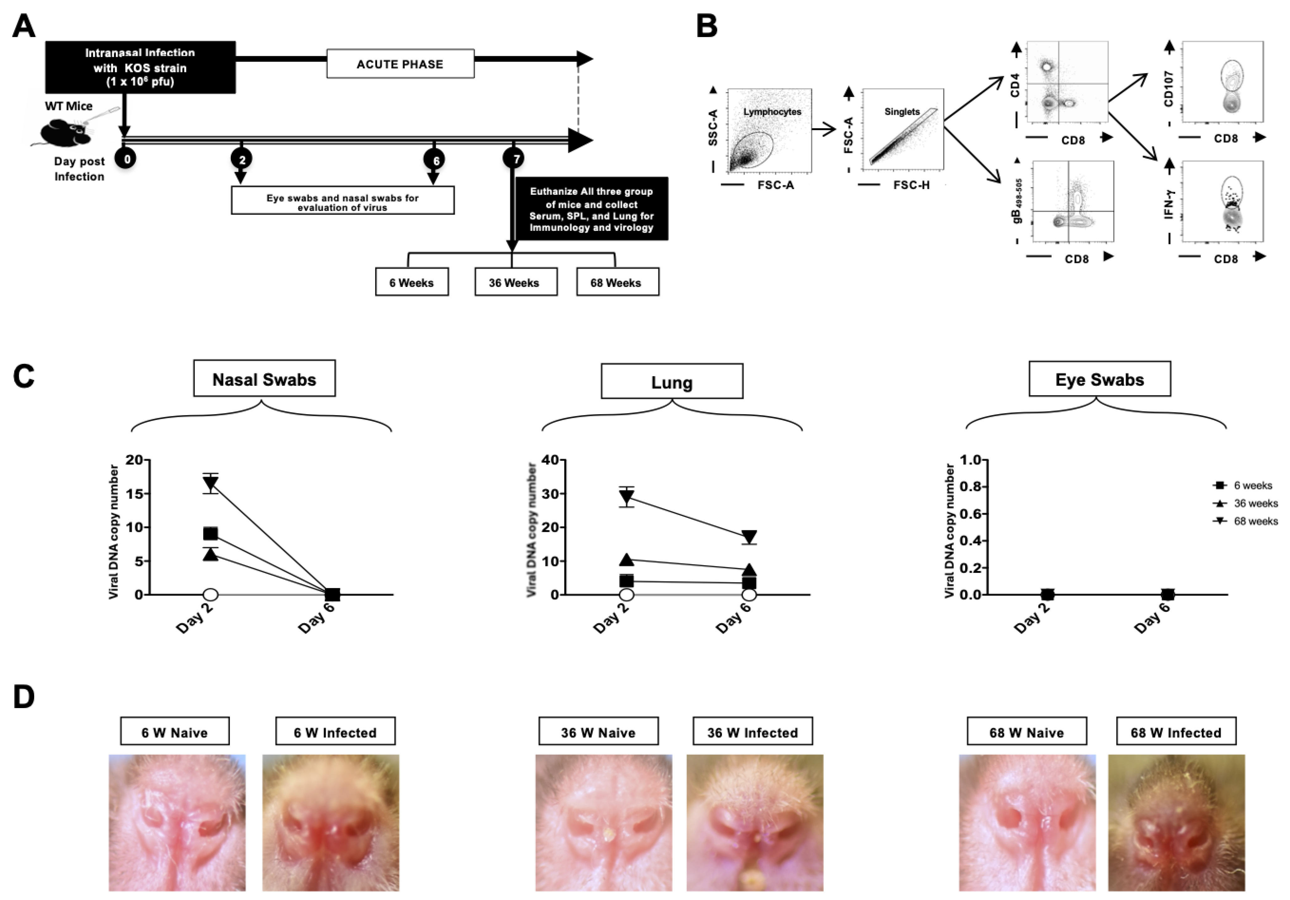 Pathogens 14 00624 g006