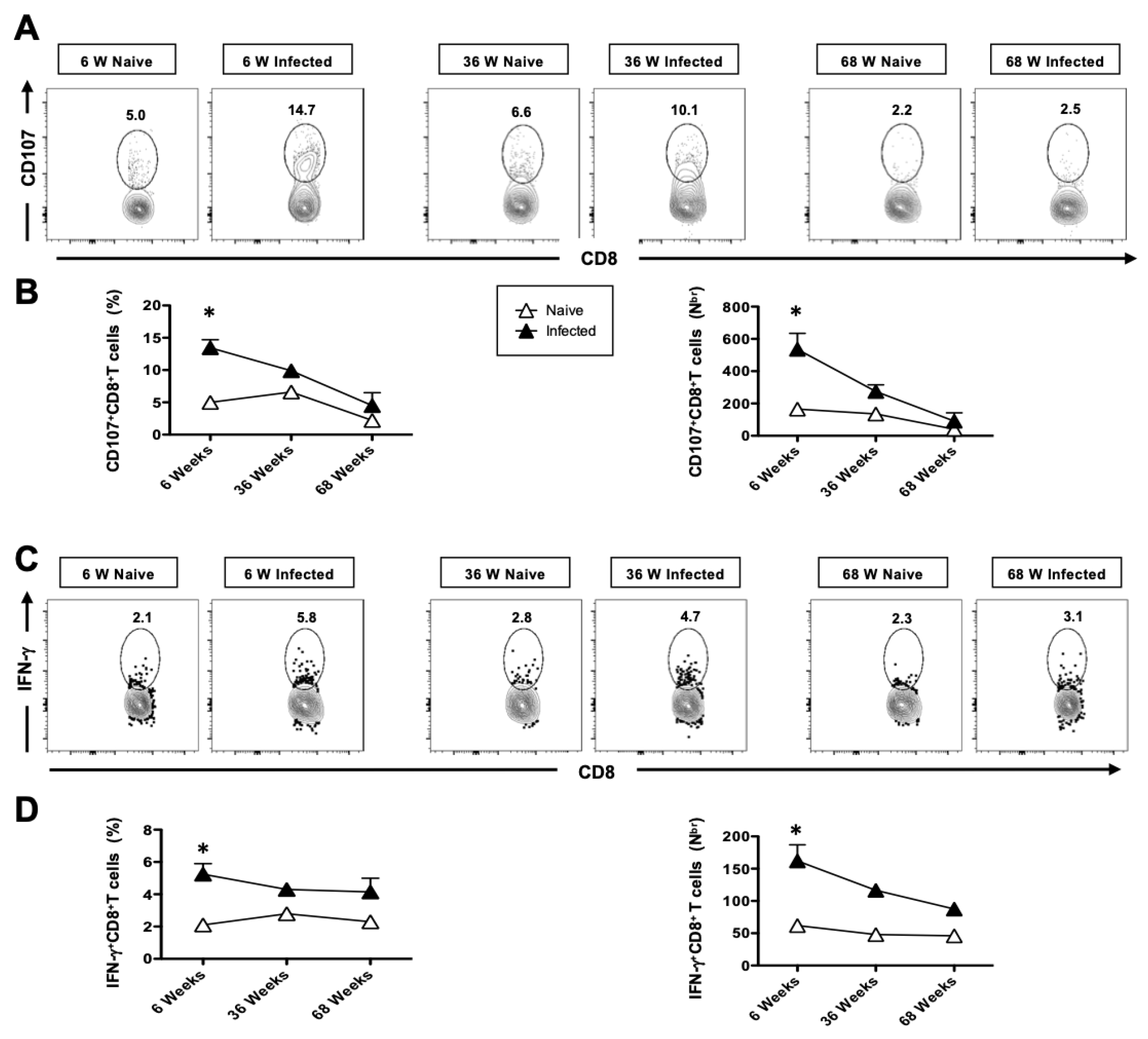 Pathogens 14 00624 g008