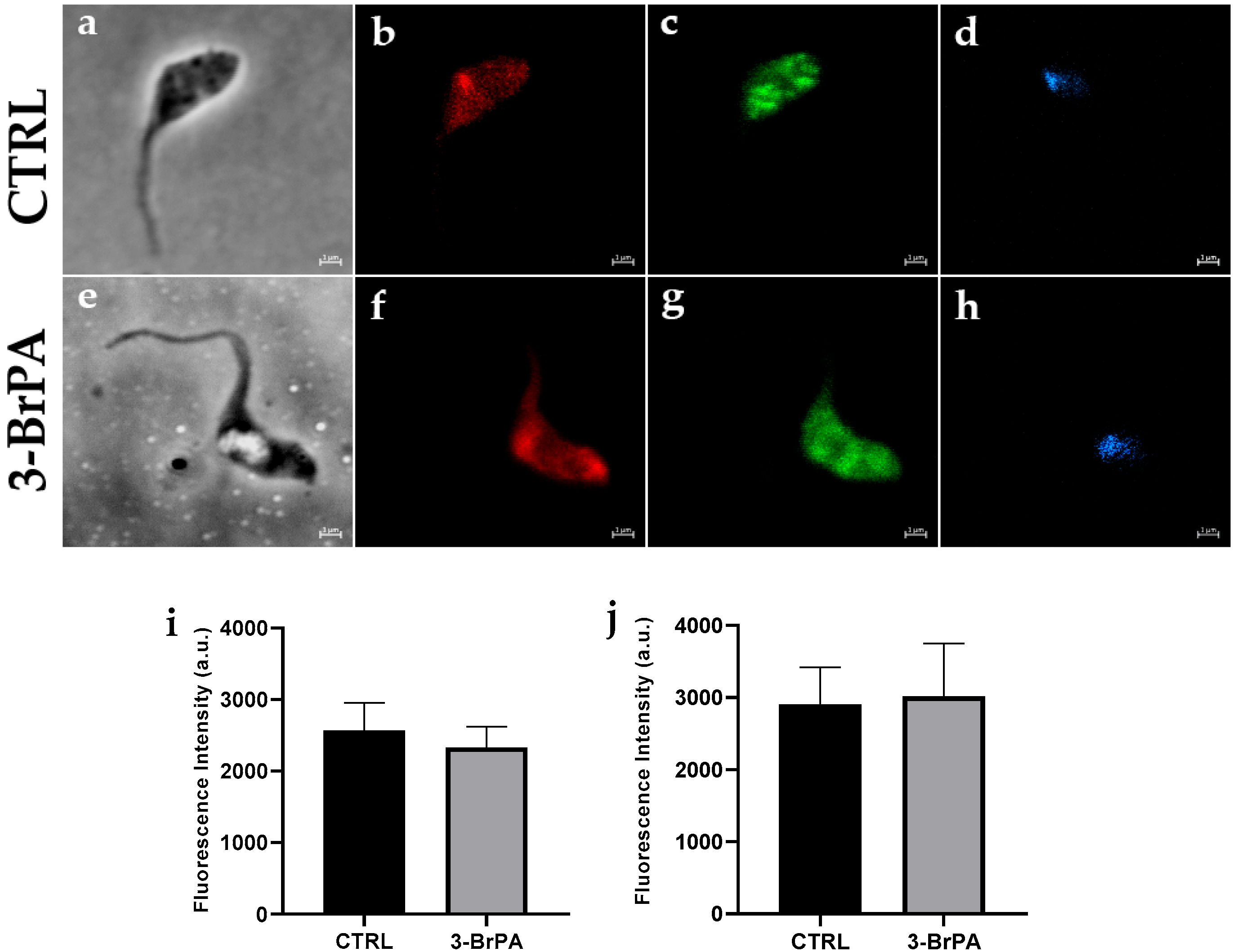 Pathogens 14 00631 g005