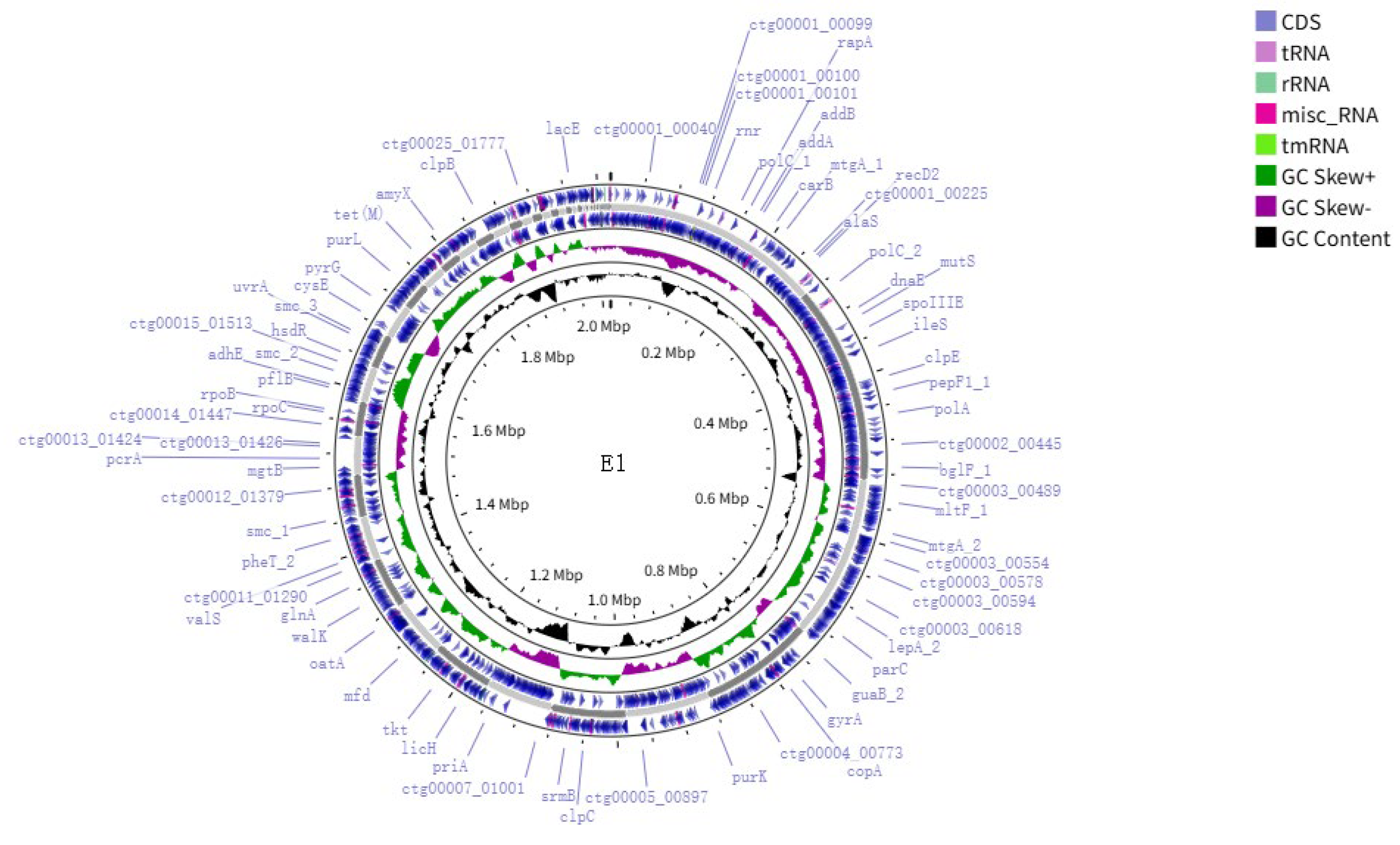 Pathogens 14 00634 g003