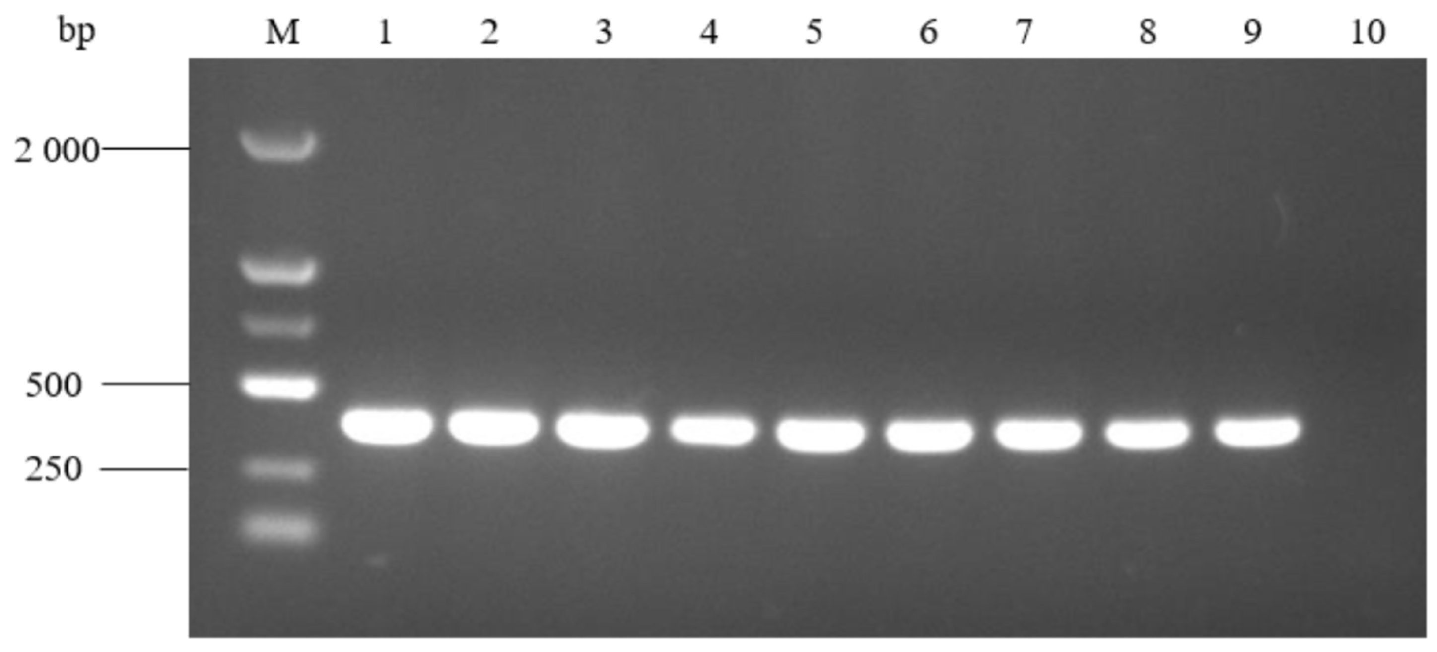 Pathogens 14 00634 g007