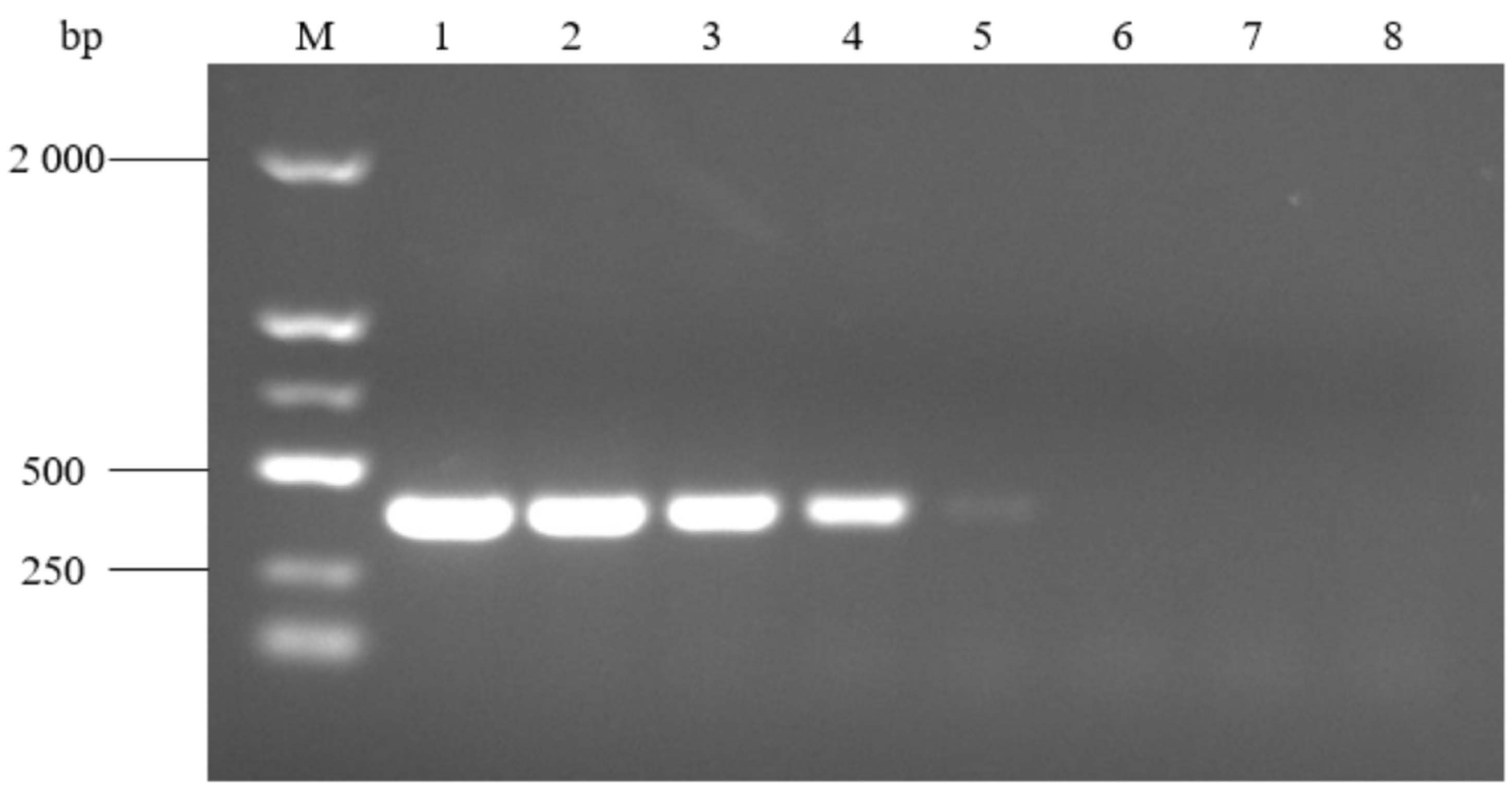 Pathogens 14 00634 g009