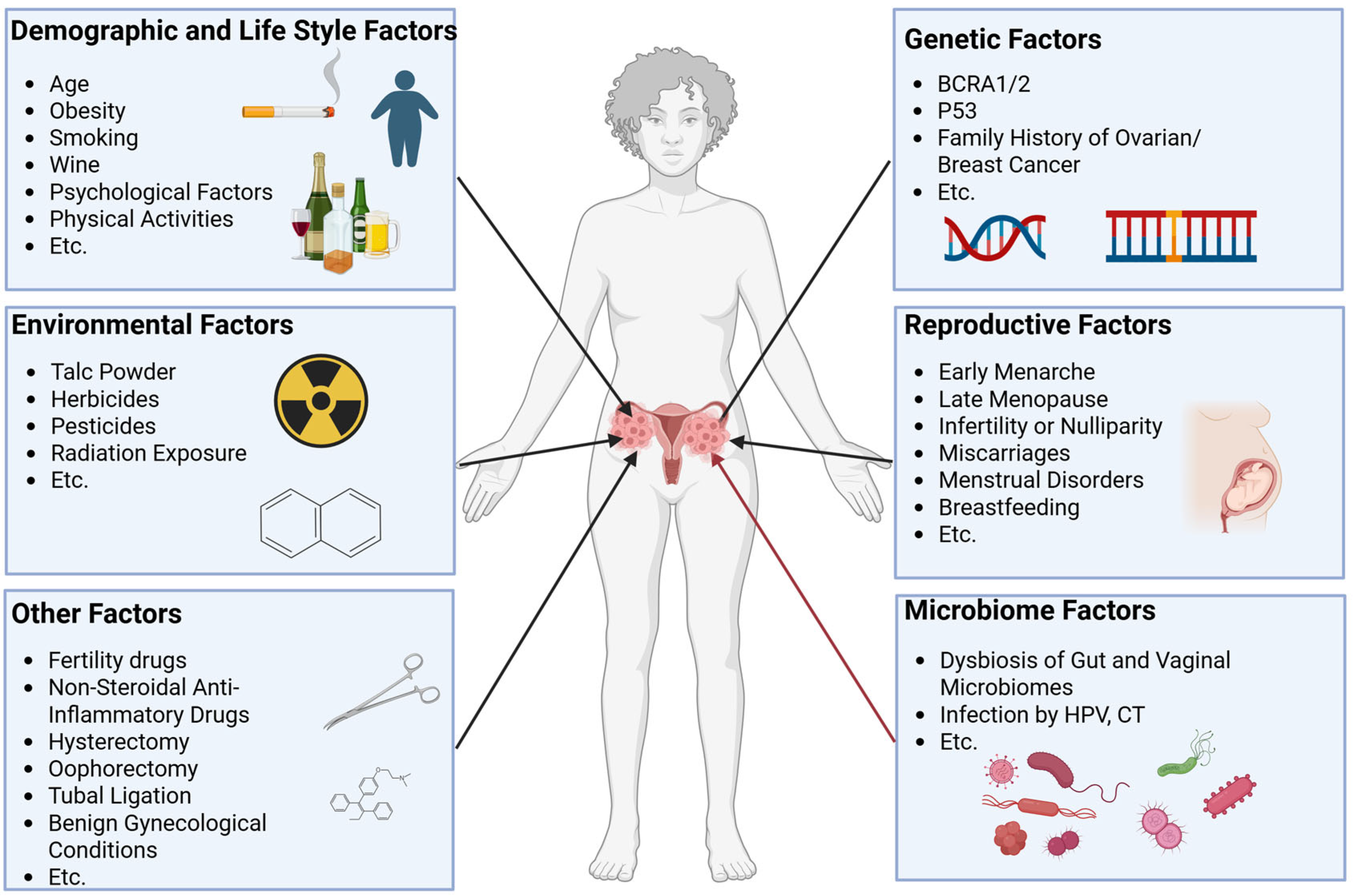 Pathogens 14 00635 g001