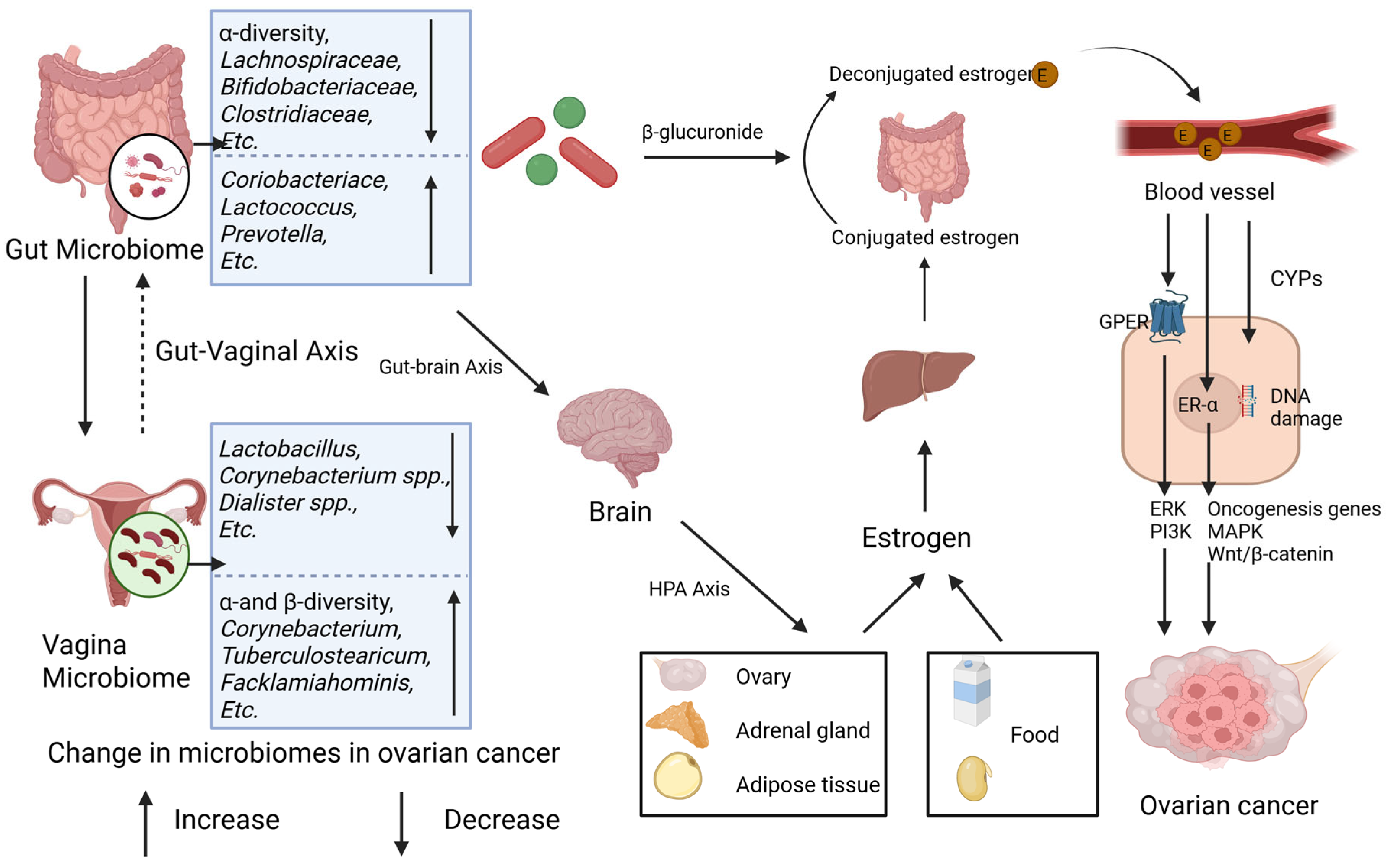 Pathogens 14 00635 g002