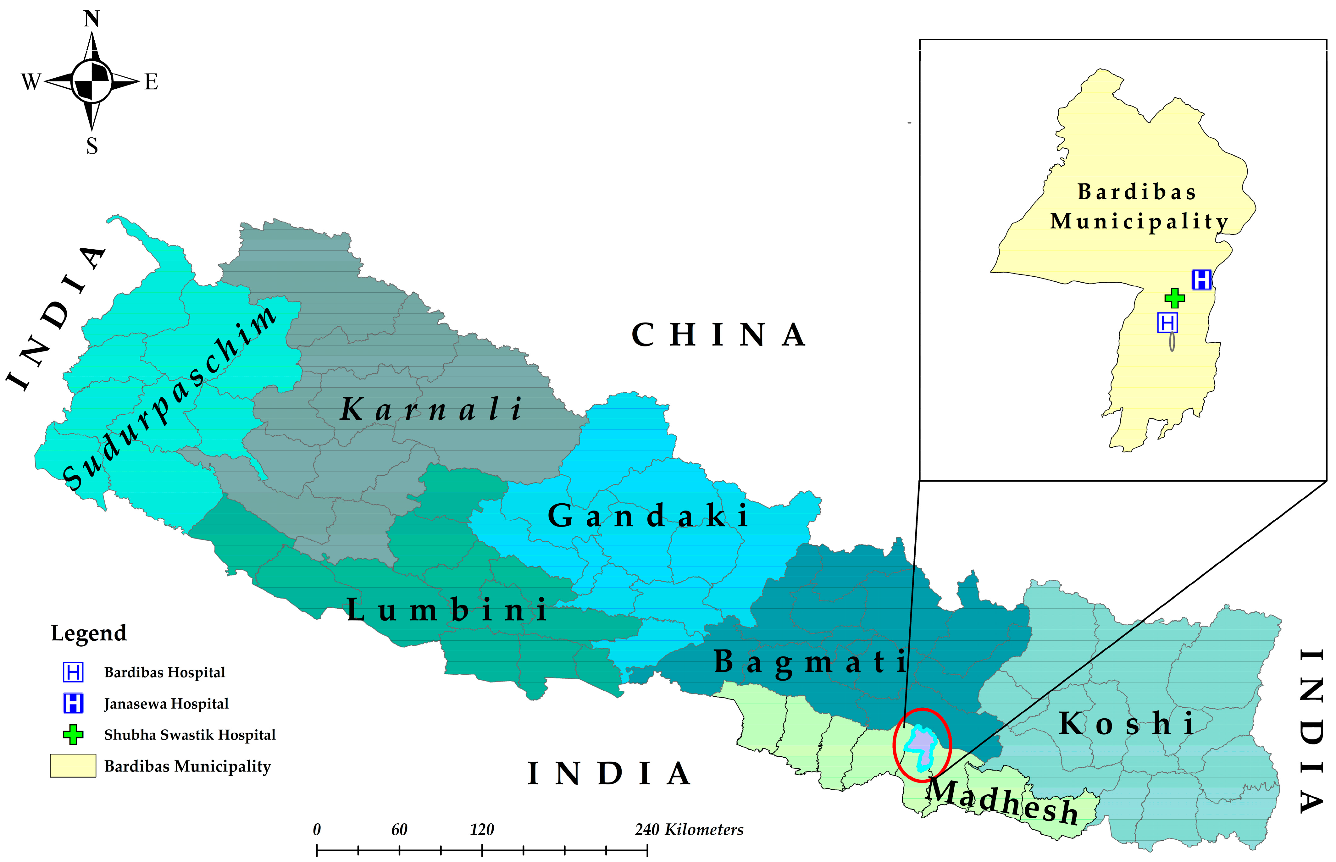 Pathogens 14 00639 g001