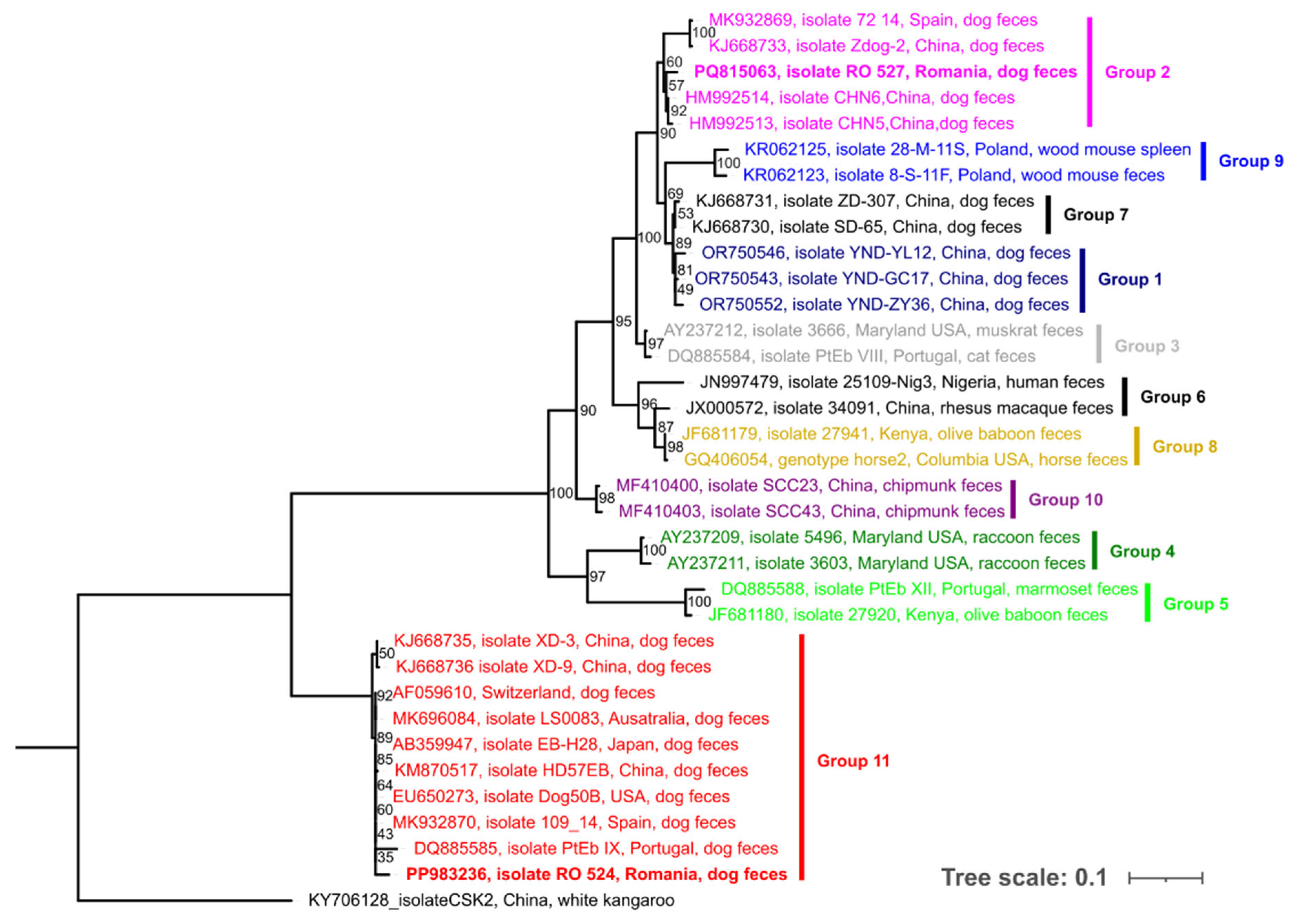 Pathogens 14 00641 g001