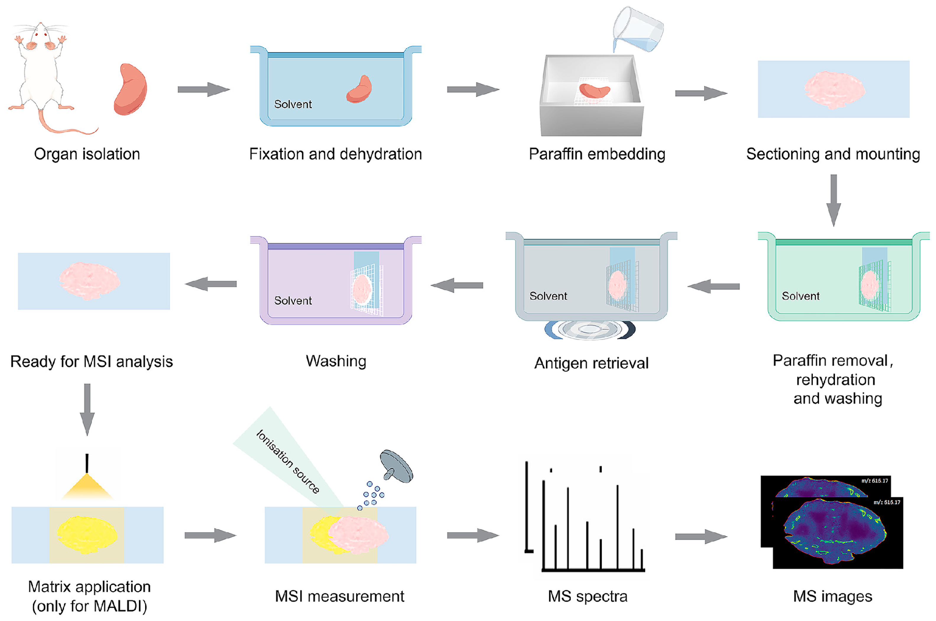 Pathogens 14 00645 g003