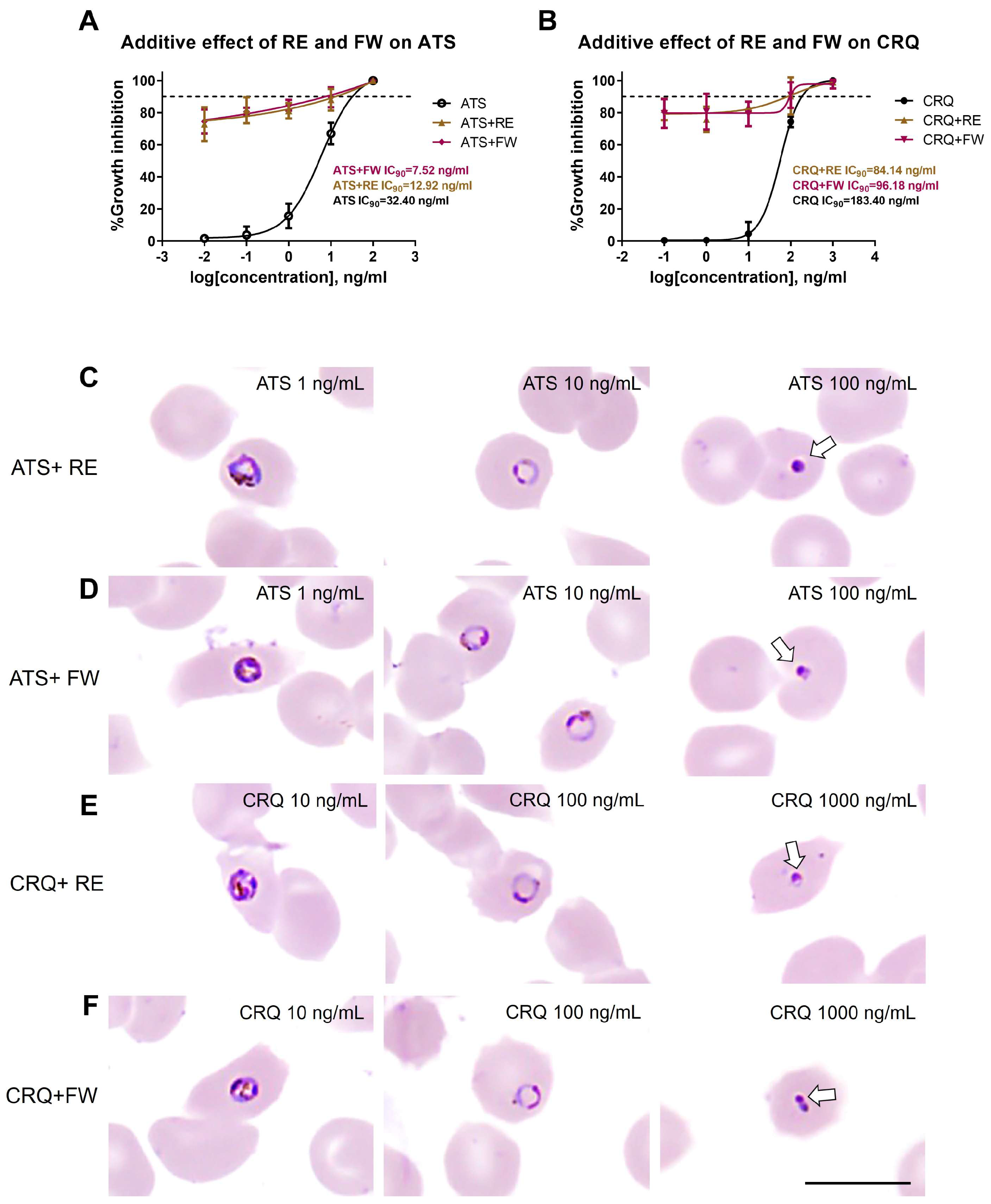 Pathogens 14 00646 g004